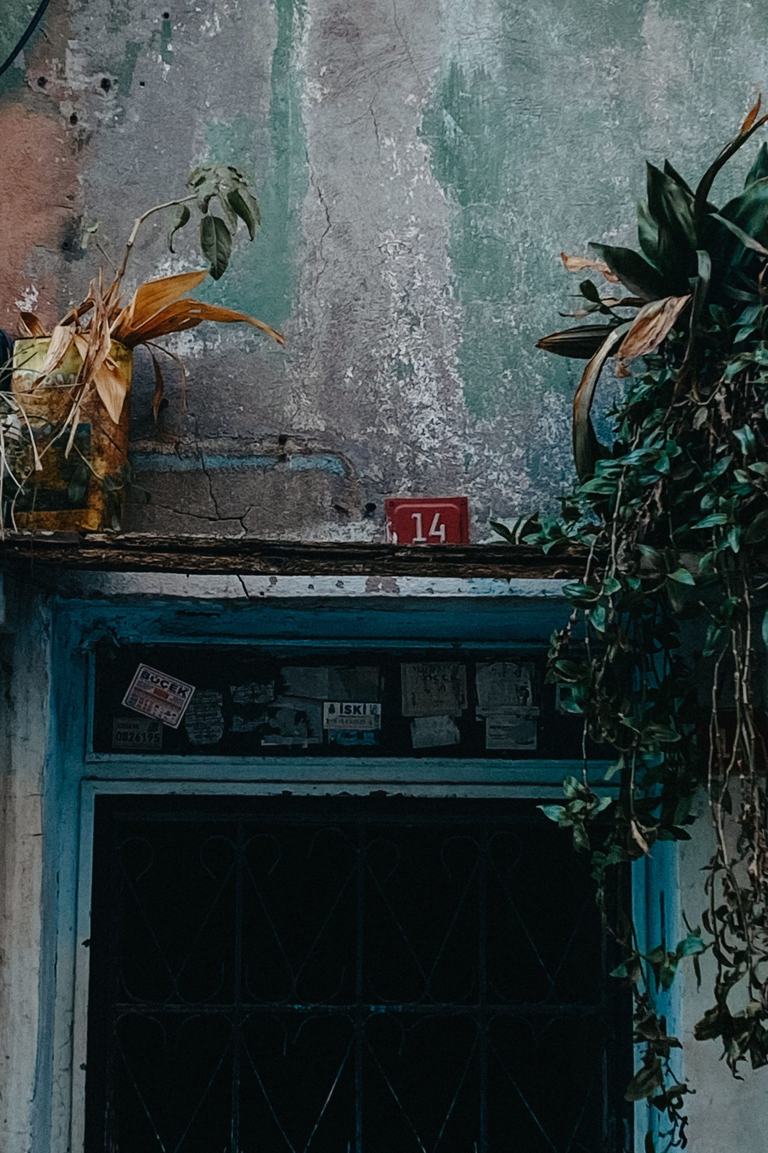 Стамбул. Фотограф Тбилиси Саша Мороз