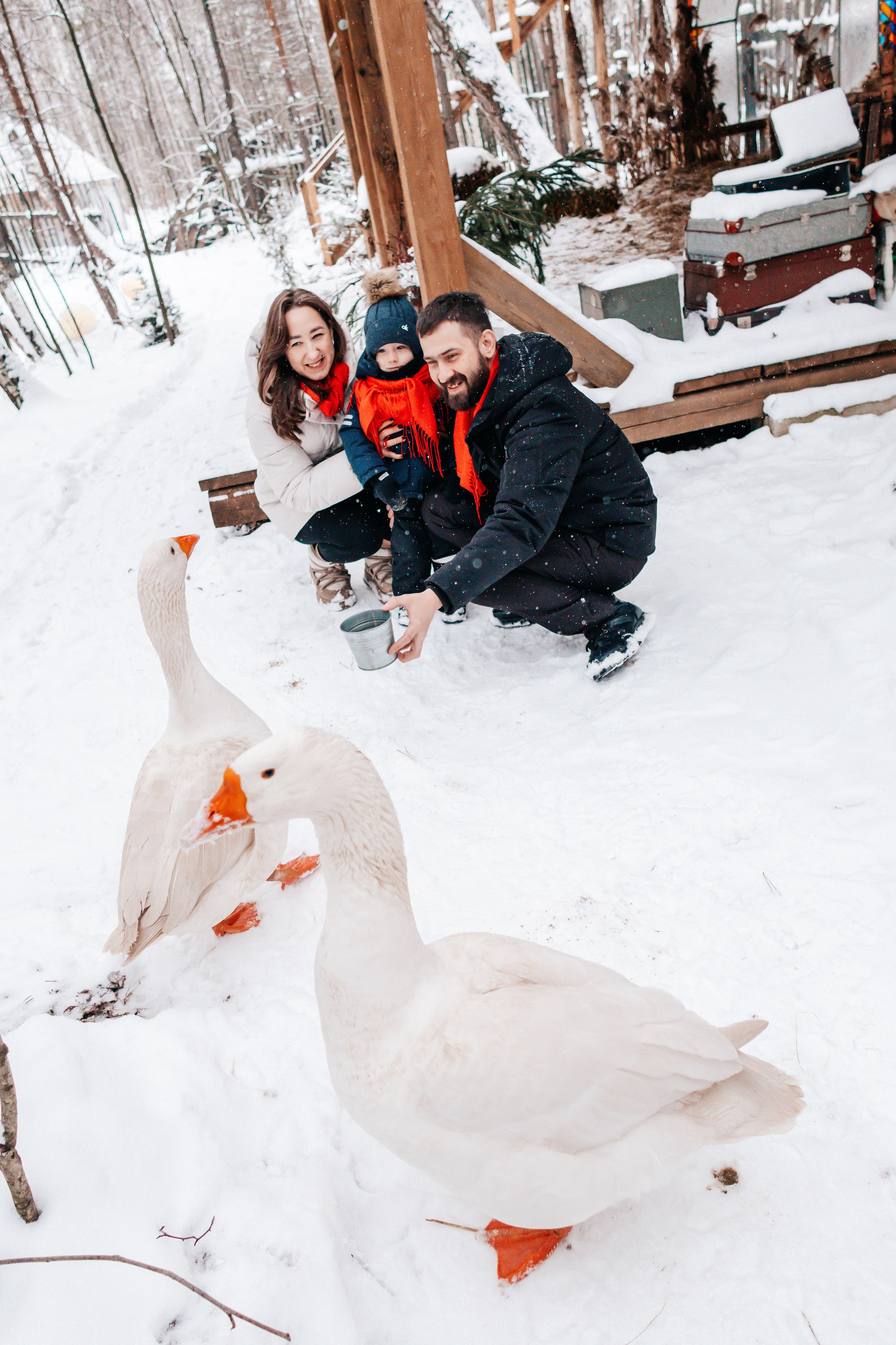 Семейная новогодняя фотосессия, Екатеринбург. Фотограф в Екатеринбурге Пойгина Елена