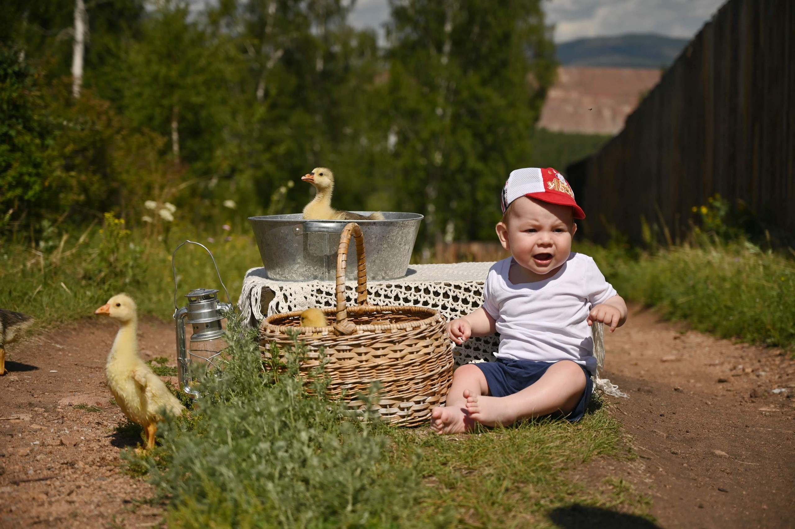 Дети и гусята. Семейный и детский фотограф в Хакасии