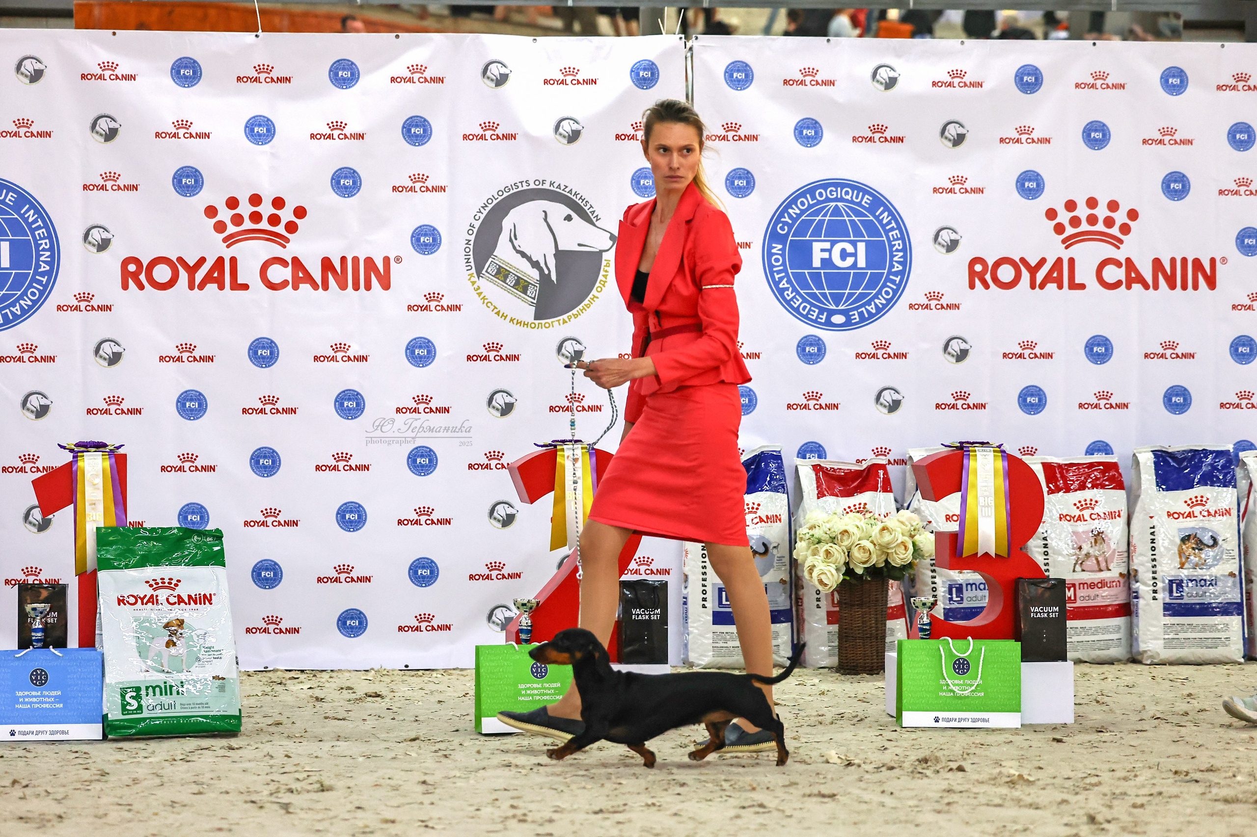 Астана 2хCACIB 26-28.09.2025. Фотограф-анималист Юлия Германика