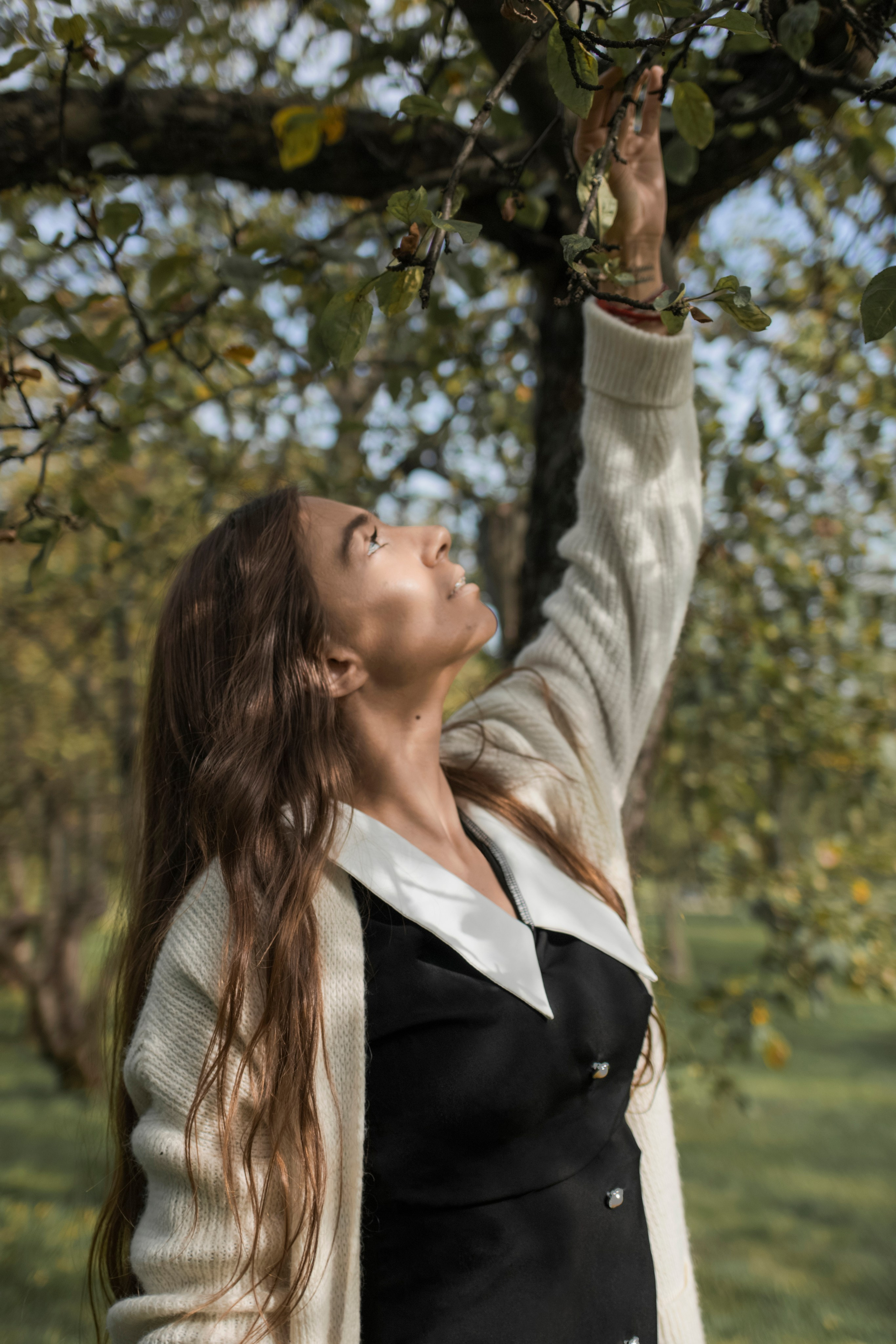 Осень в Коломенском. Фотограф в Москве Киселева Екатерина