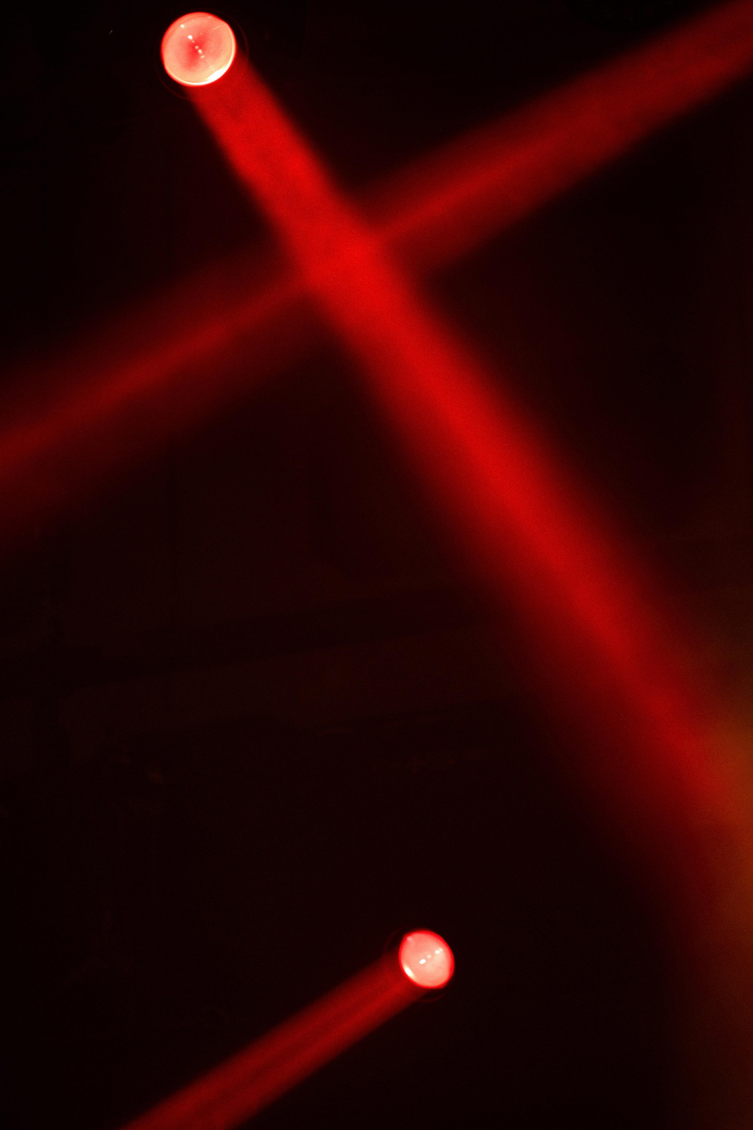 КОЧКА. Фотограф Айвазова Наталья Краснодар