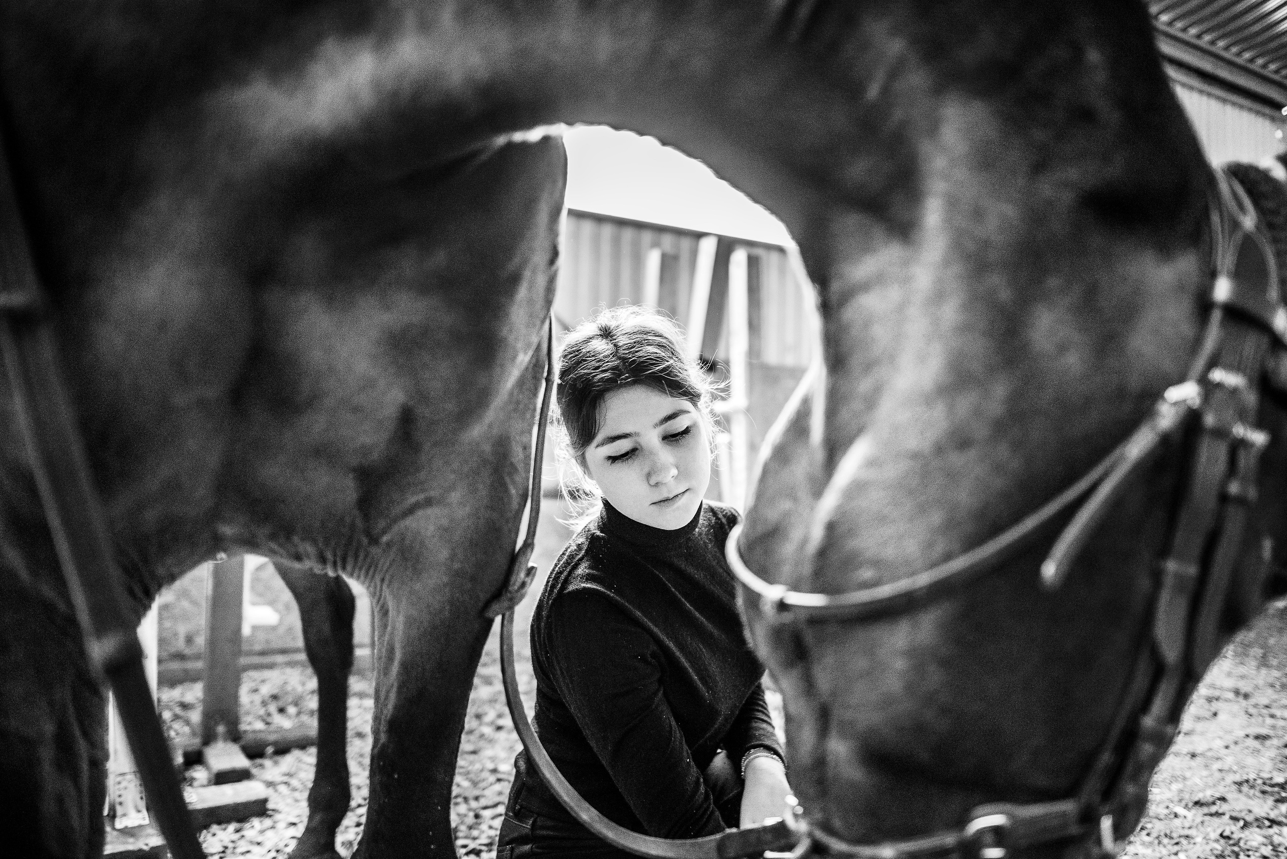 Фотосессия с животными в Туле, фотограф Женя Смокина