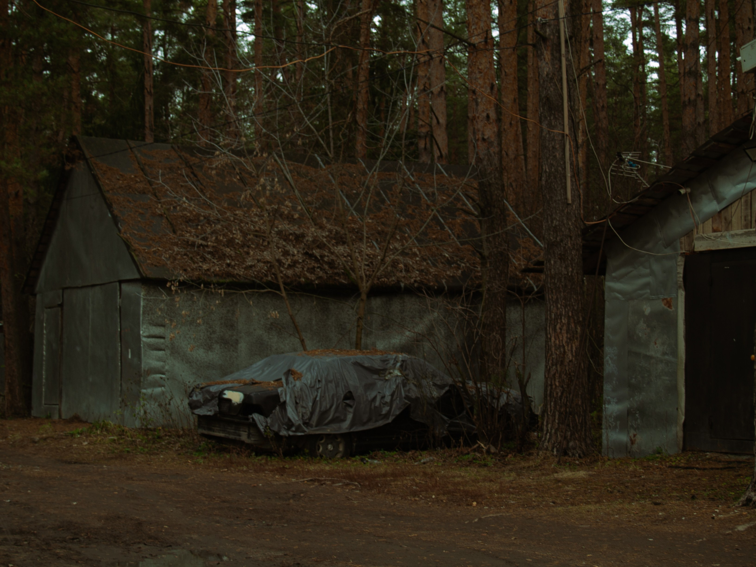 Михаил. Фотограф Елизавета Маслова. Москва. Art, Fashion