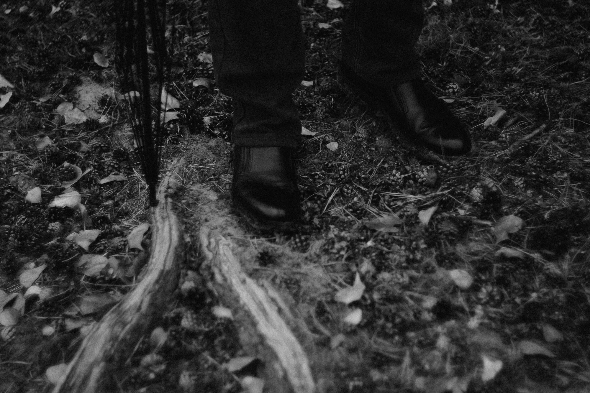 Фотосессия в сосновом бору Тюмени идеи для мужчин