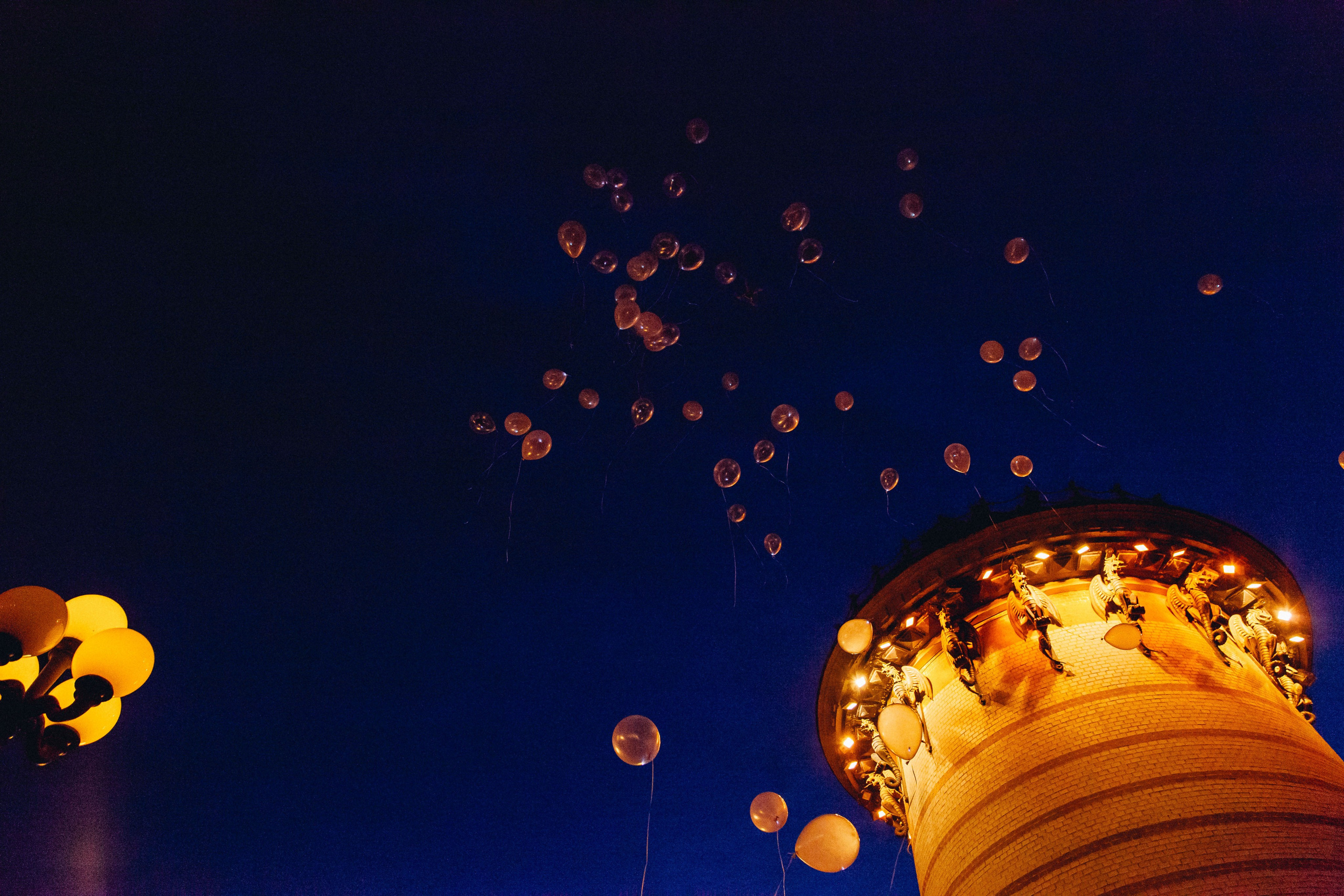 Алексей и Анастасия. Свадебный фотограф Александр Абрамов Москва / Зеленоград