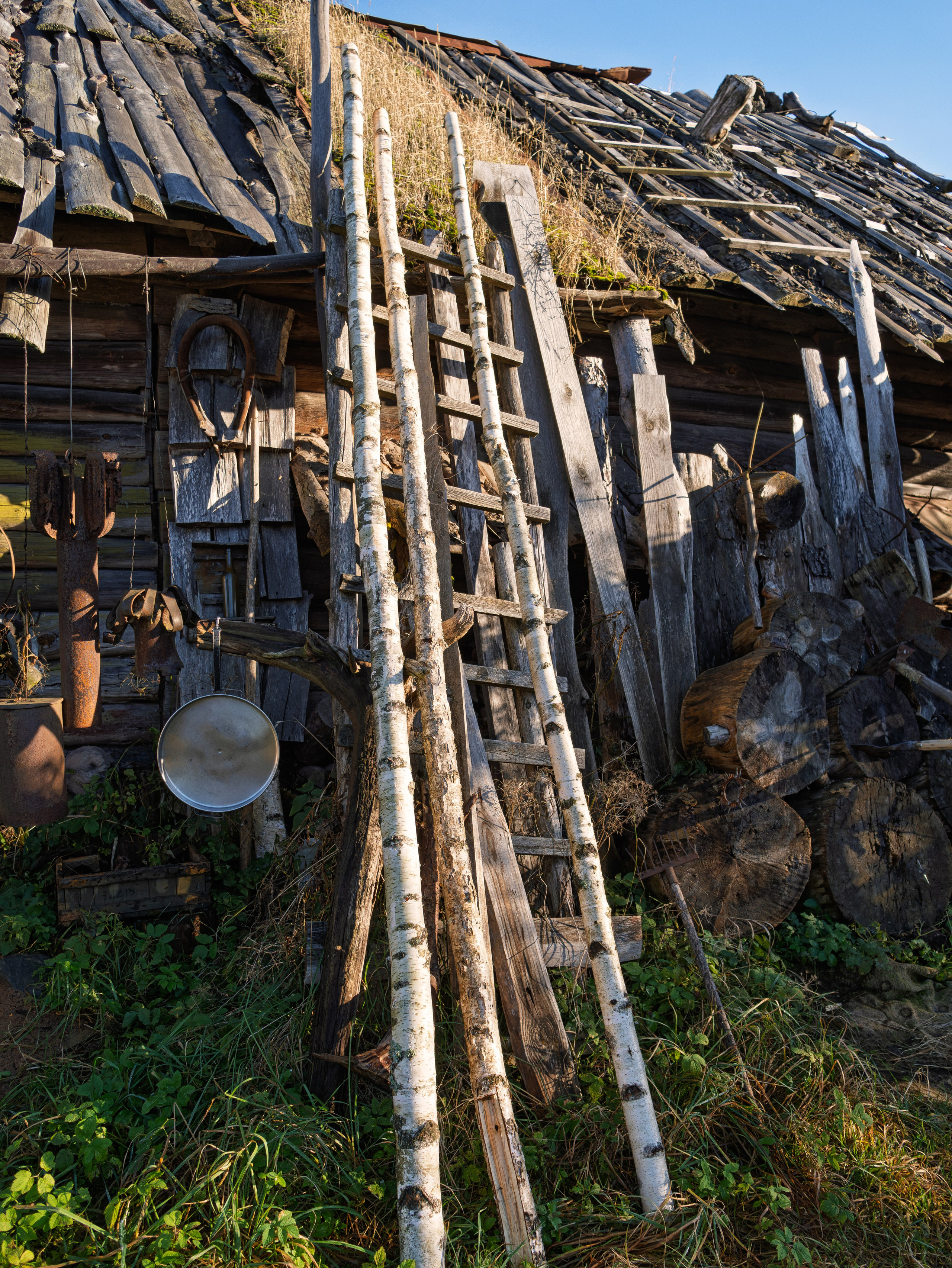 Голубые озера, Псковская область. Октябрь 2024. Фотограф Никифоров-Гордеев Сергей. Москва и МО