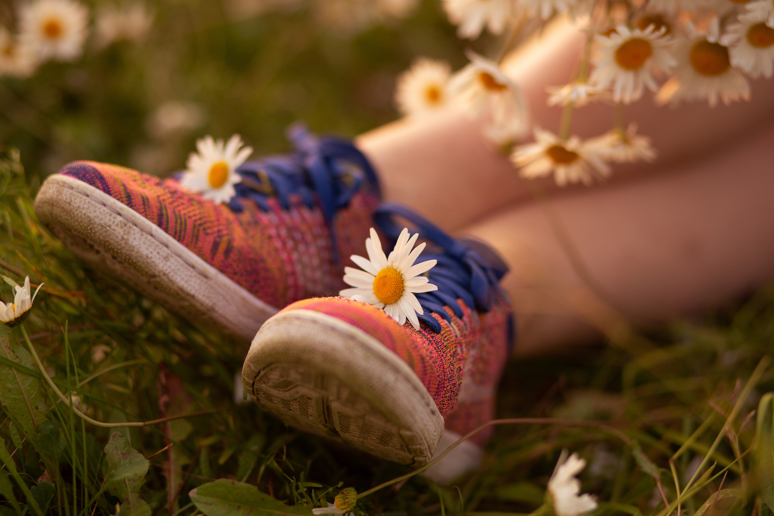 В Ромашковом поле. Семейный и детский фотограф в Москве Юлия