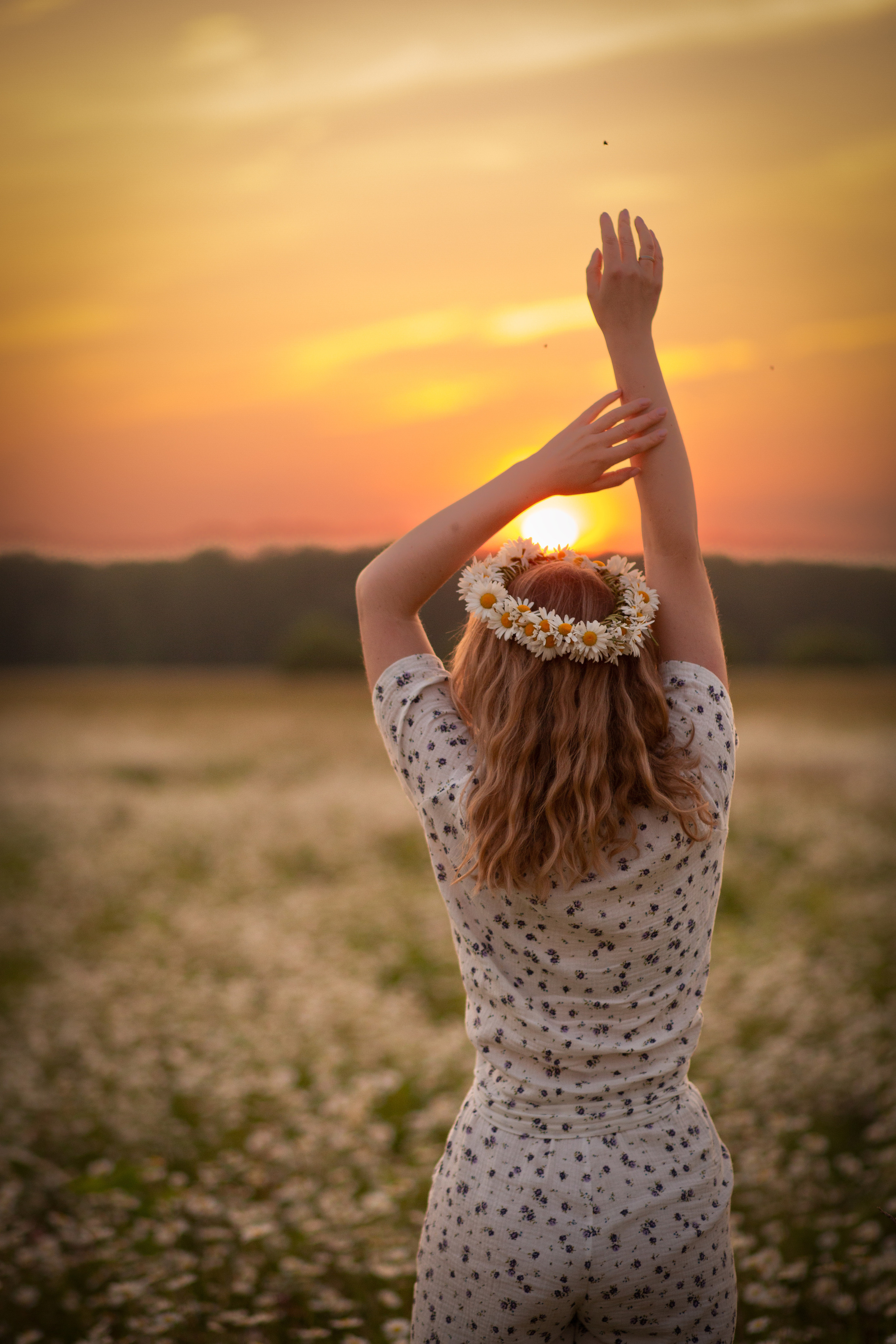 В Ромашковом поле. Семейный и детский фотограф в Москве Юлия