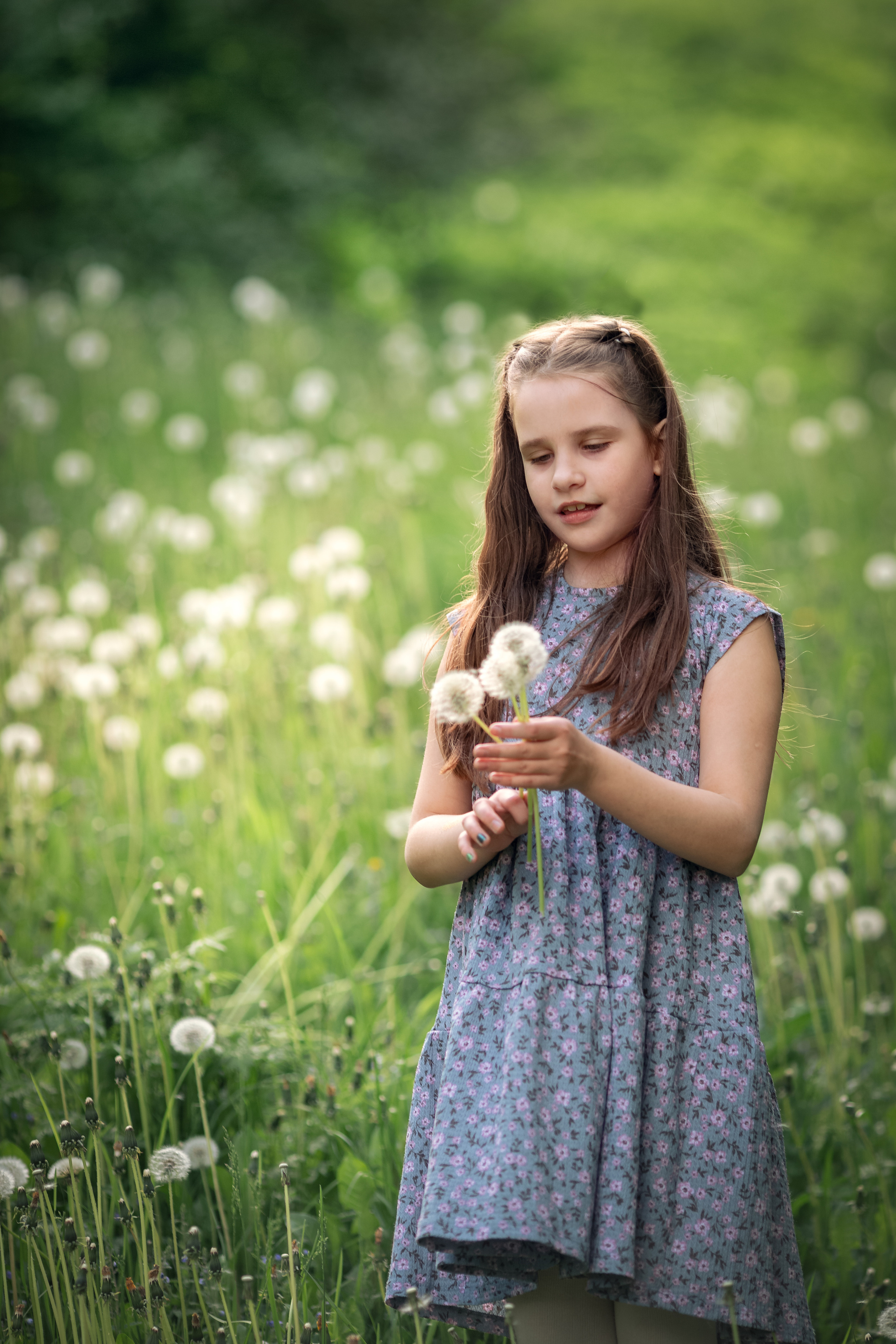Большая семья. Семейный и детский фотограф в Москве Юлия