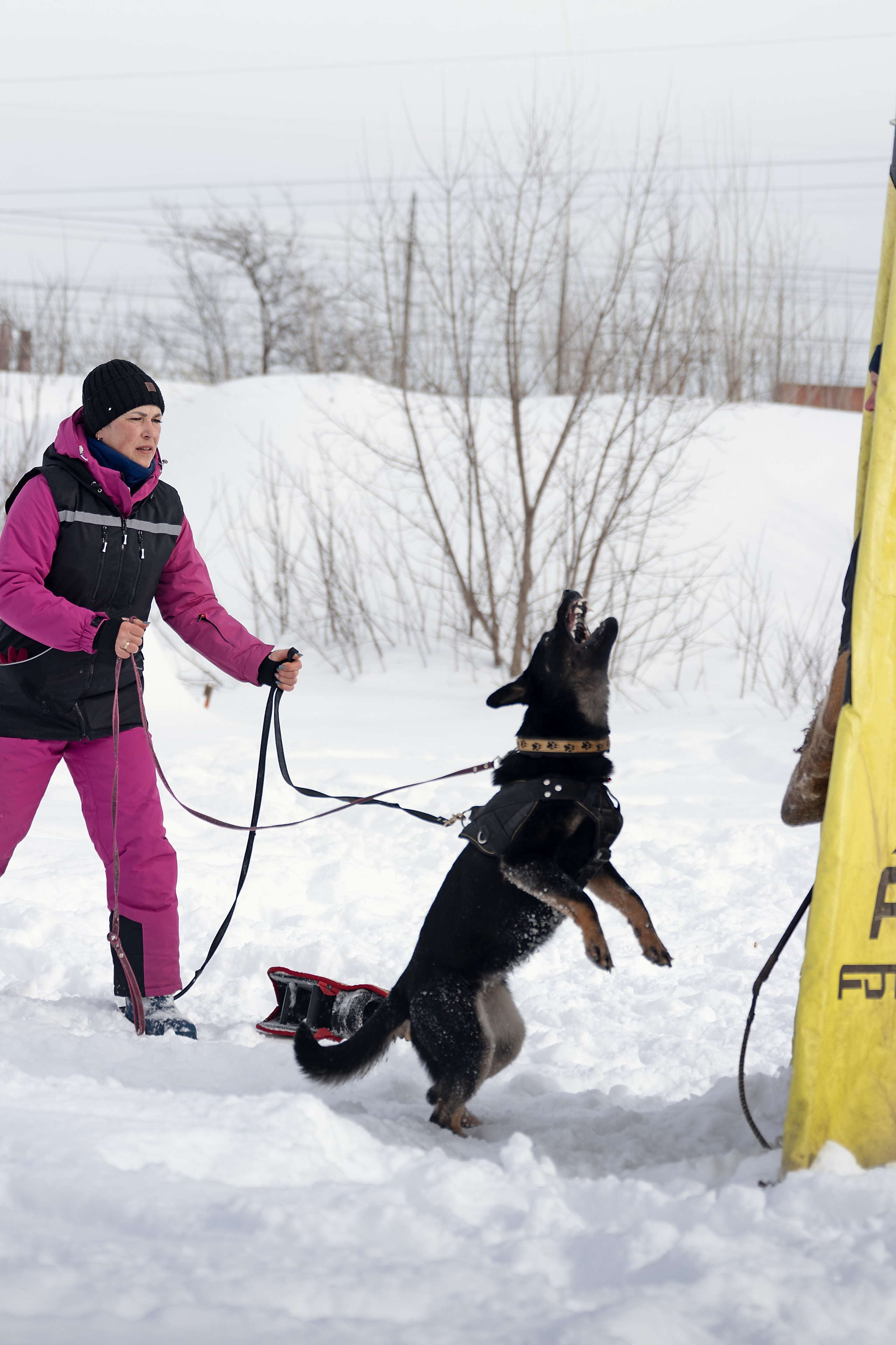 Репортажная съемка. Фотограф-анималист Нижний Новгород