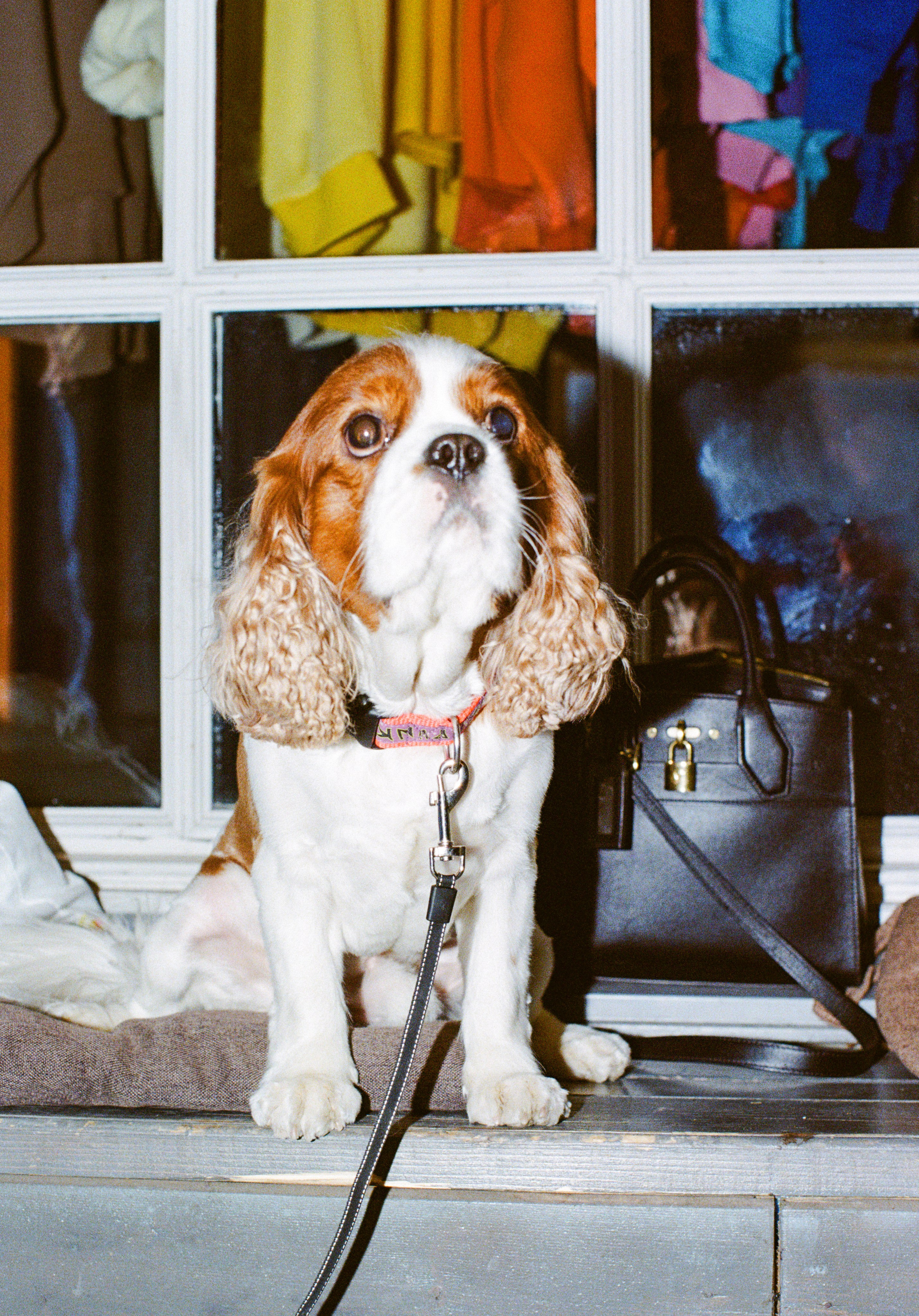 Party like a Moscow. Портретный и ивент-фотограф в Москве