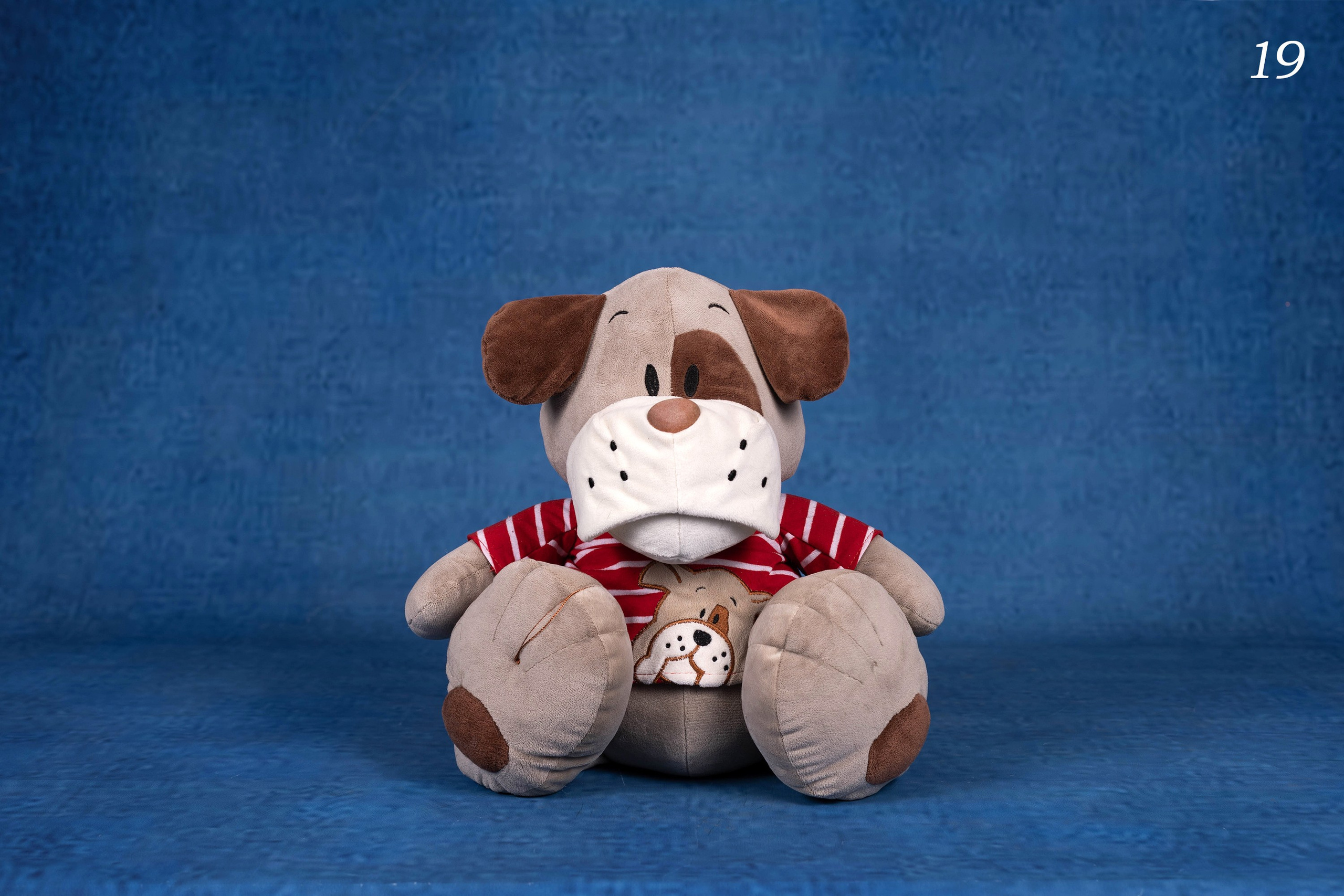 Фоны. Фотограф-анималист в Омске Екатерина Маричева