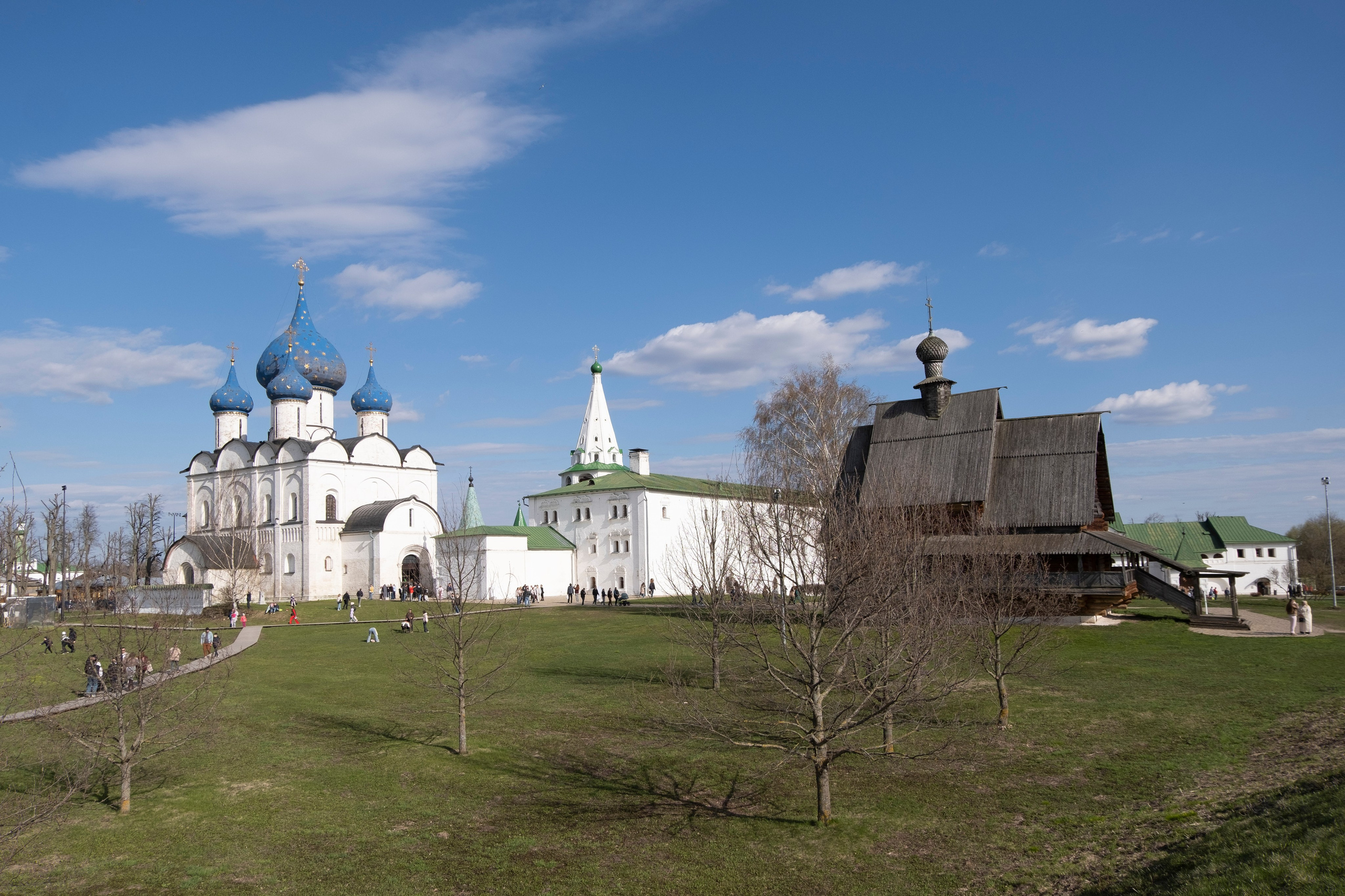 Суздаль. Фотографии города, архитектуры, цветов, макро, кошек. Москва