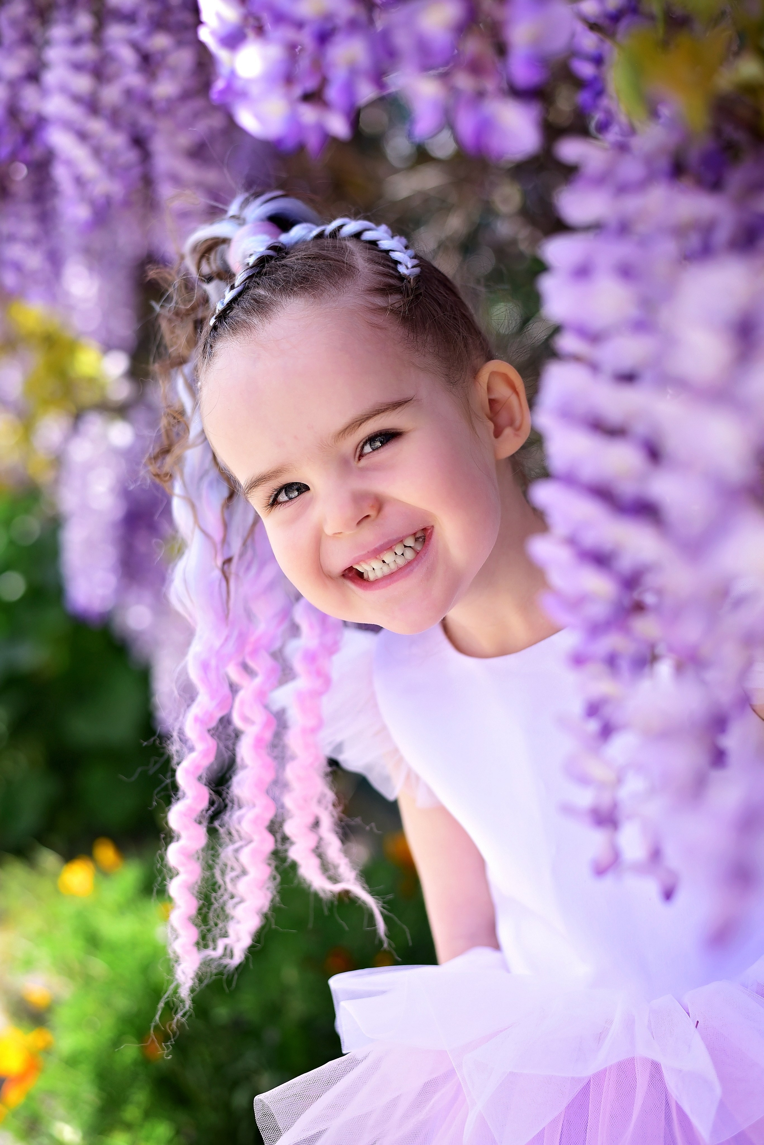 Глициния. Главная