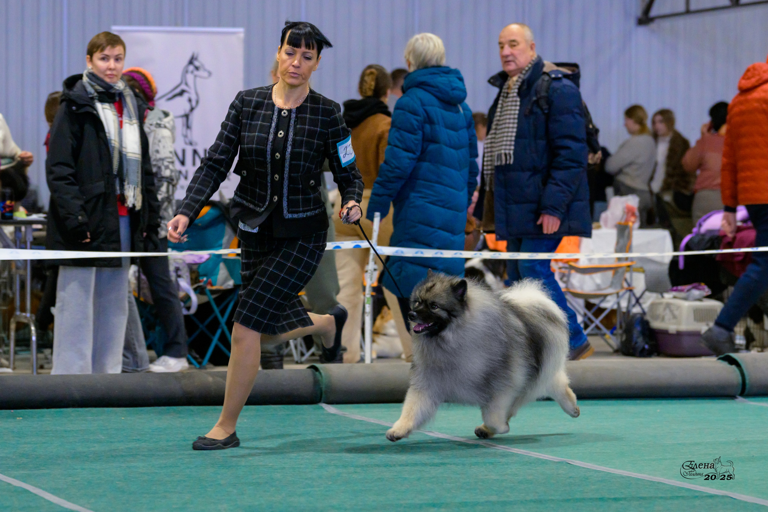 6-7.12.2025 г.Новосибирск. Фотограф анималист Елена Галдина г. Красноярск