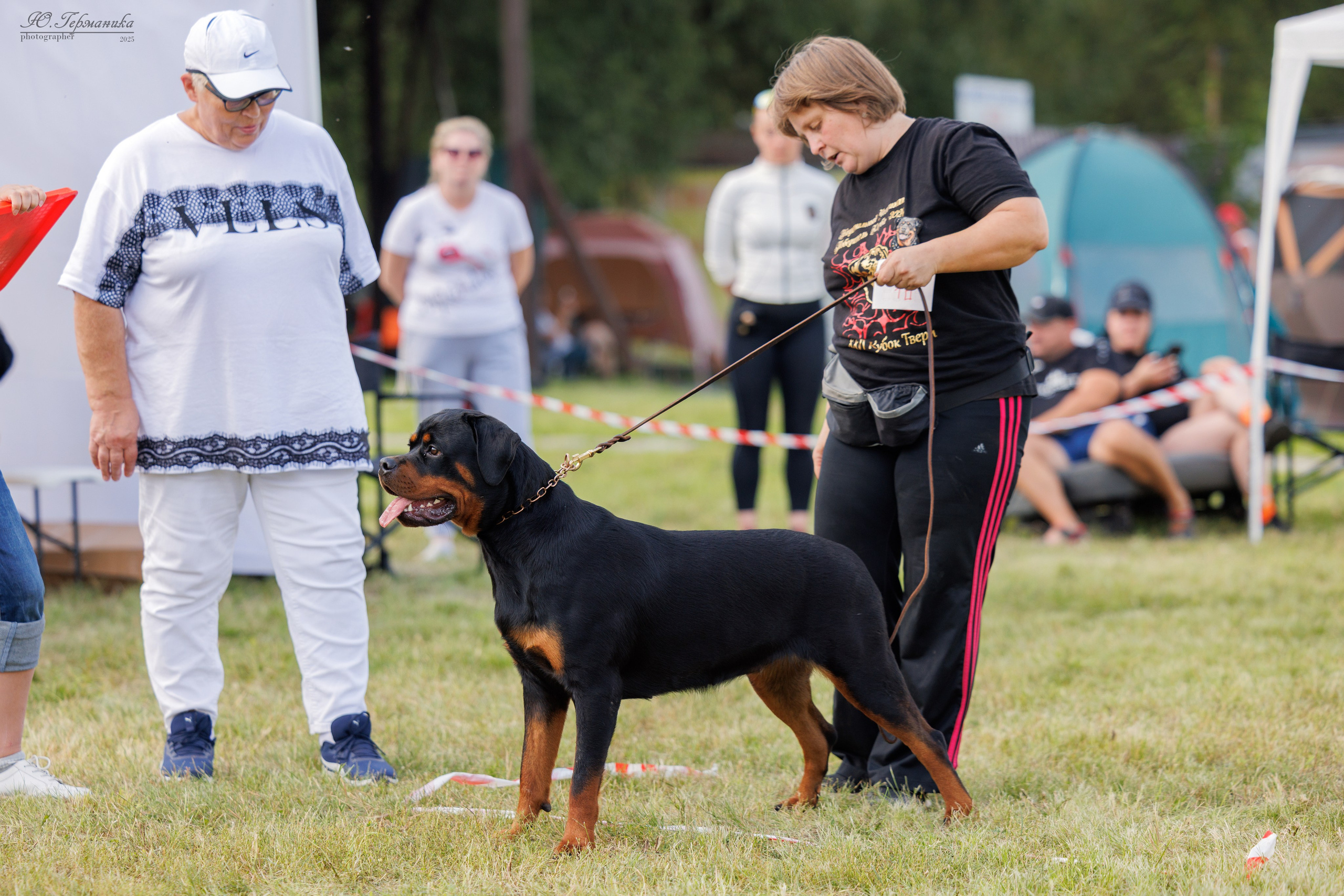 Рязань 2хмоно ротвейлеры 16-17.08.2025. Фотограф-анималист Юлия Германика