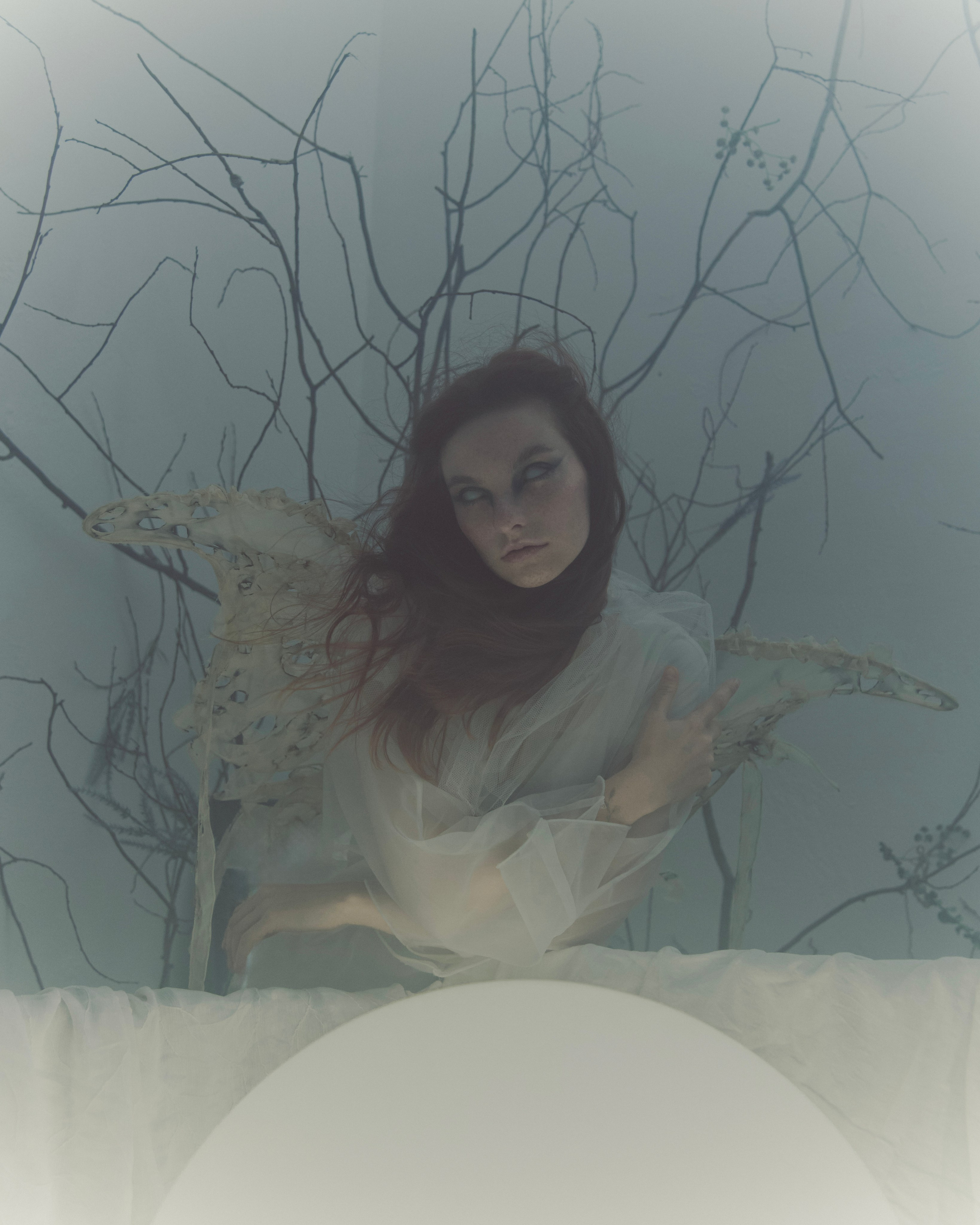 Мотылек. Фотограф Anita Mivchas