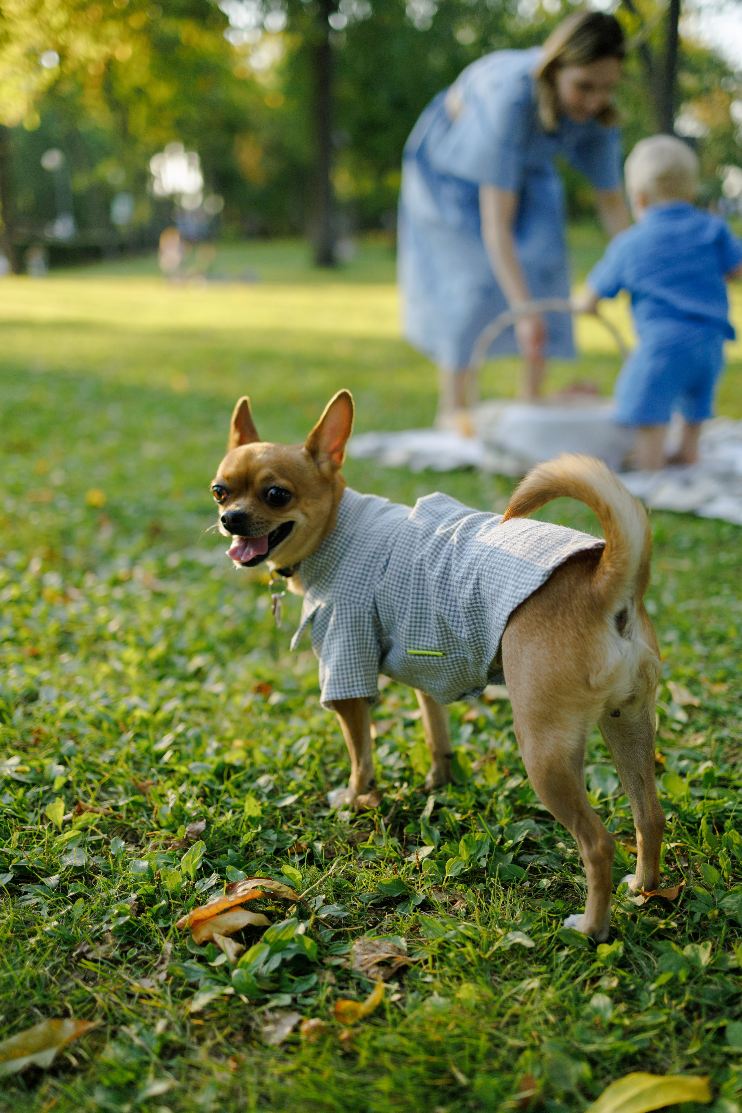 Алина и Дима. Свадебный фотограф в Самаре Виденмаер Евгения