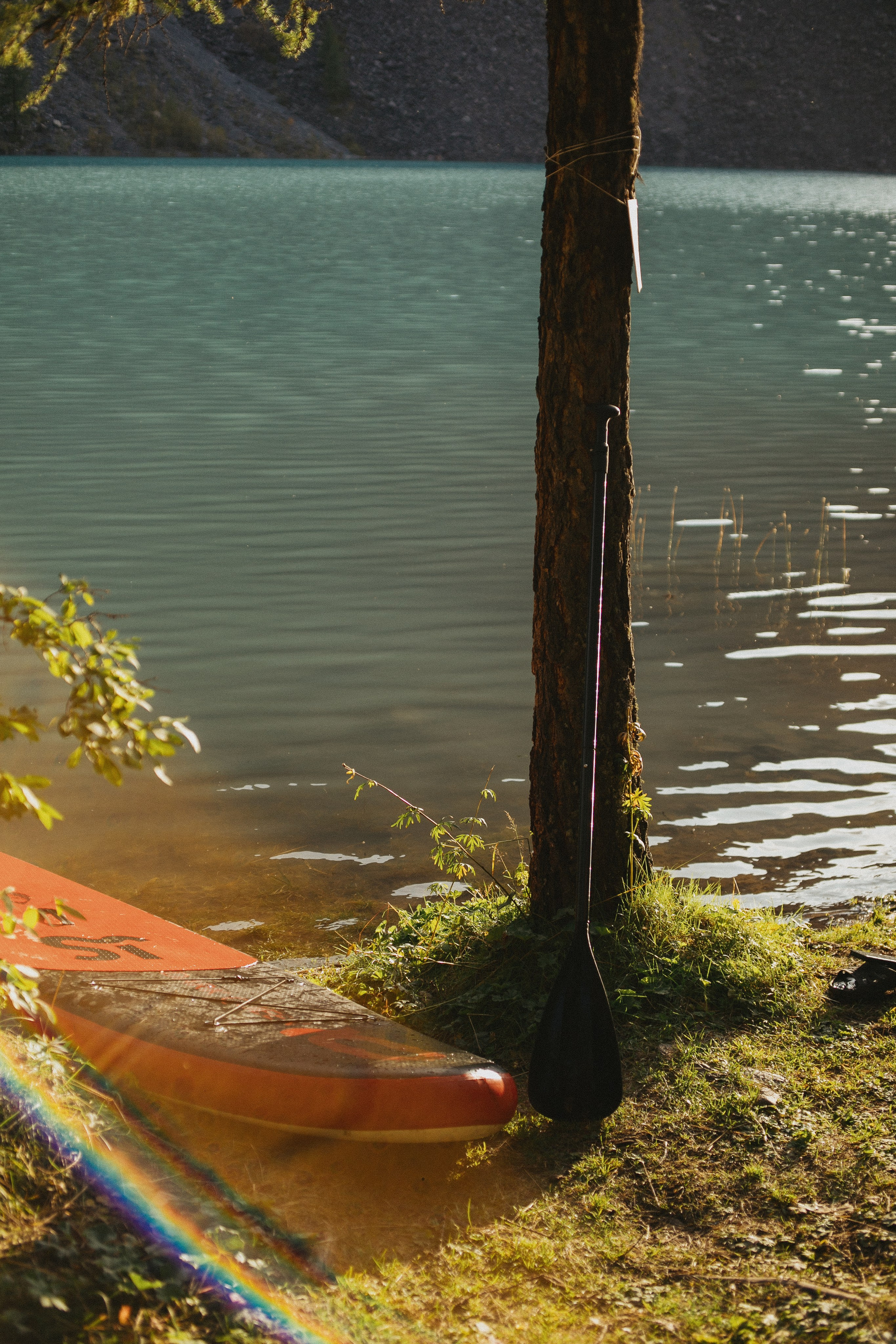 Шавлинские. Главная