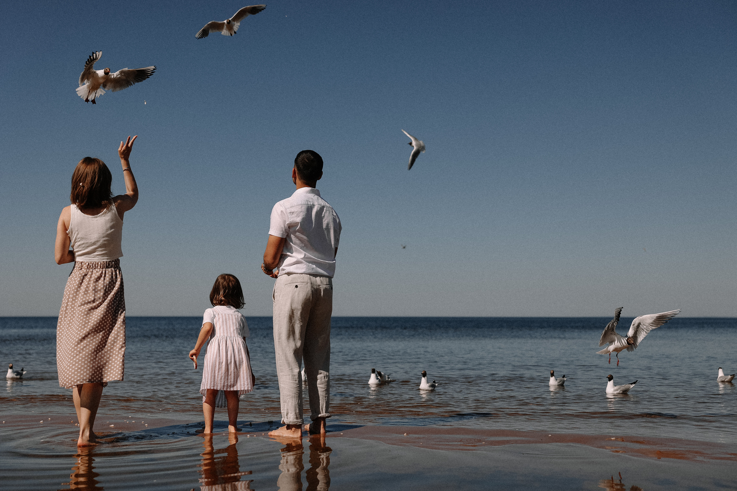 Берег Питерского моря. Свадебный и семейный Фотограф Денис Кошель