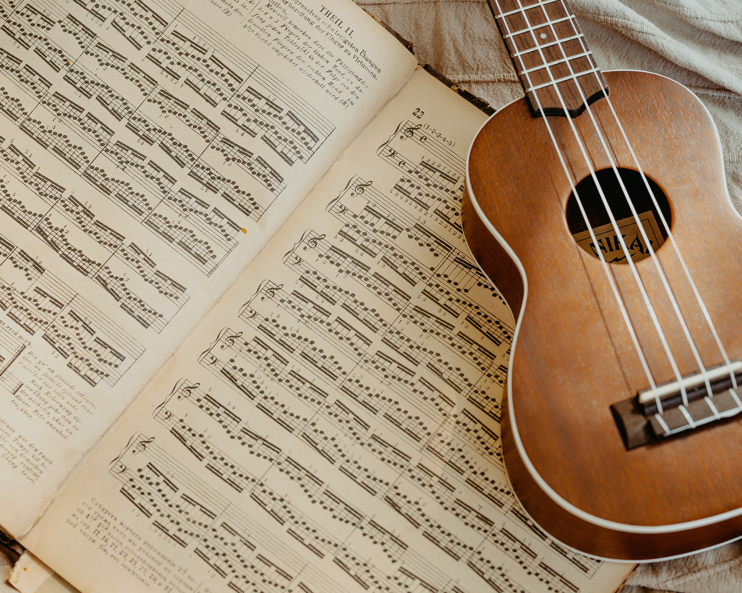 Прованс. Алена Русских — фотограф и графический дизайнер в Ростове-на-дону