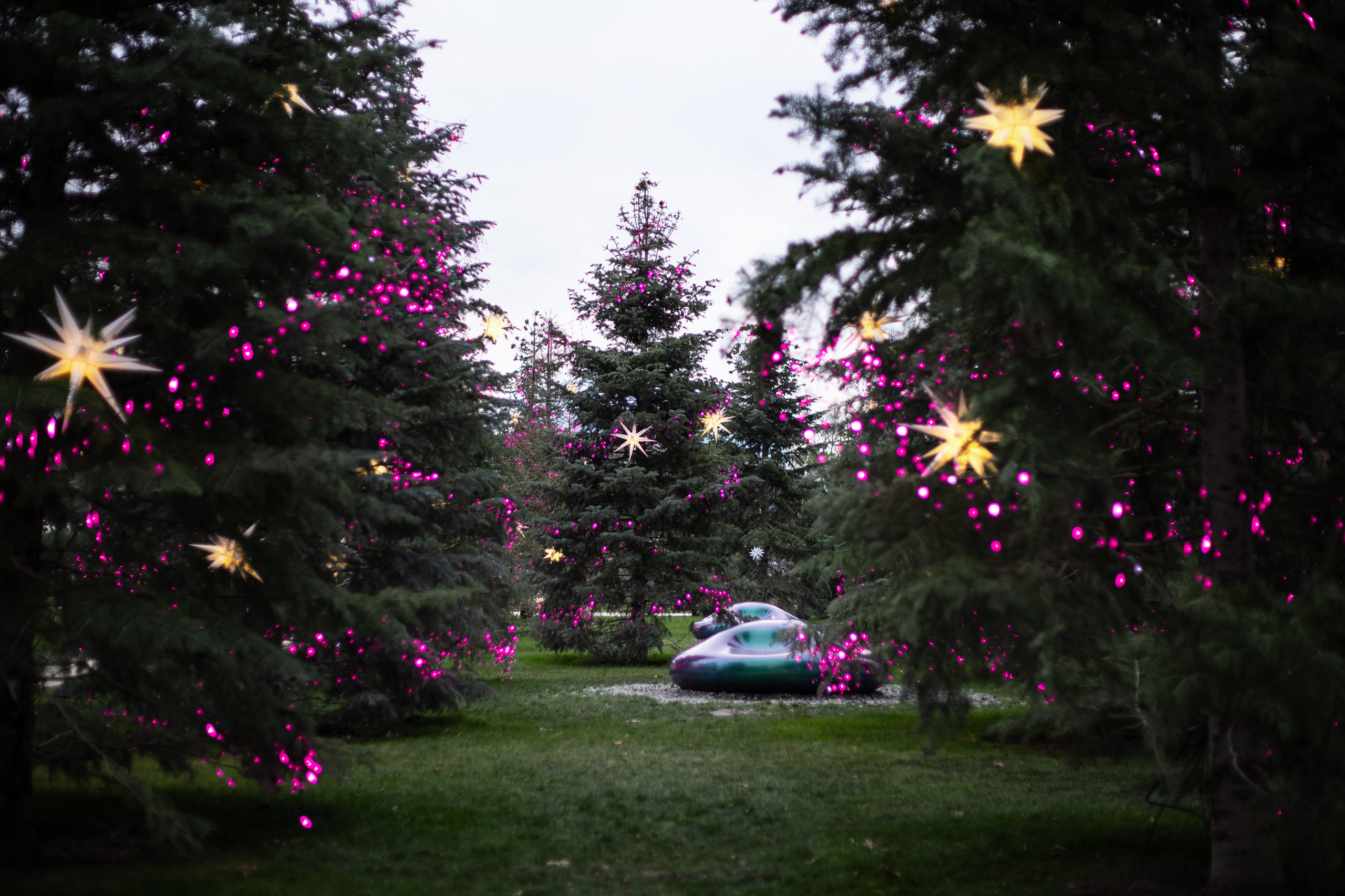 Т2. Фотограф Алиса Лисицына