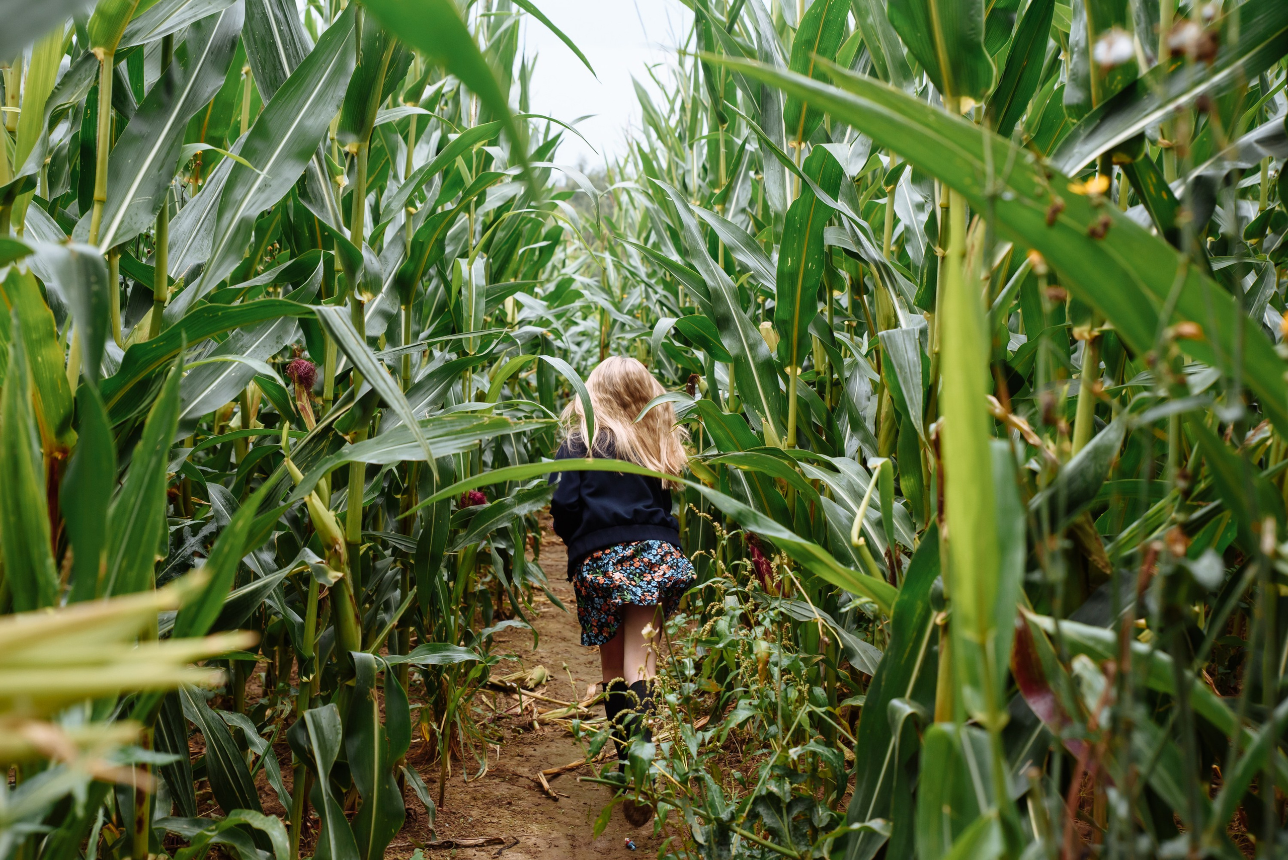 Семейные съемки. Портретный фотограф Москва, репортаж и естественная постановка