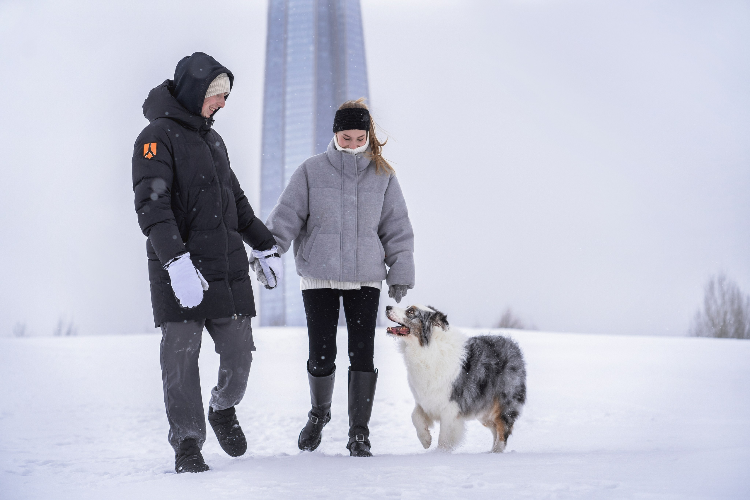 Портфолио фотографа-анималиста Александры Пугачёвой | Санкт-Петербург. Фотограф-анималист в Санкт-Петербурге Пугачёва Александра