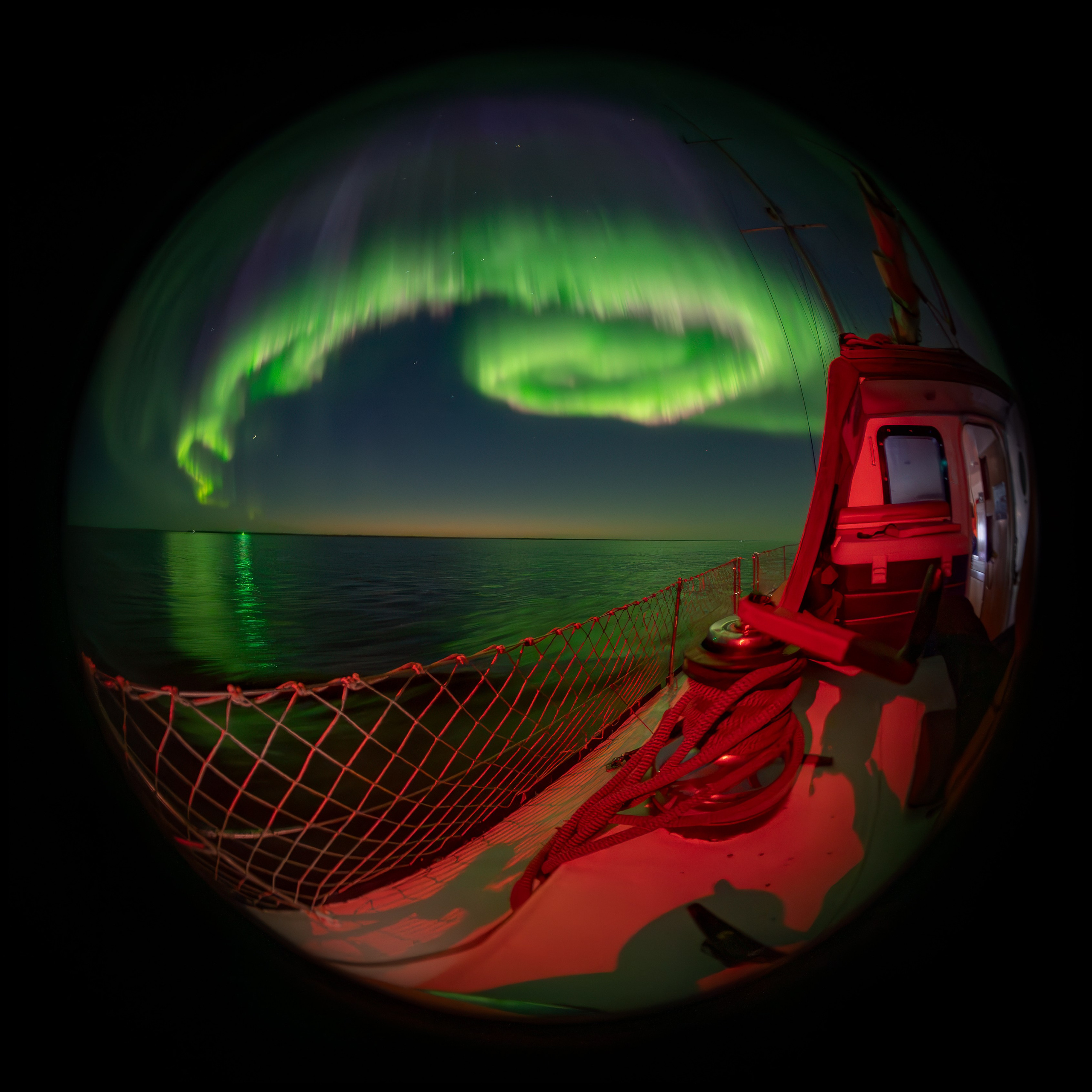 Арктика. Andrew Gusarov Nature Photography