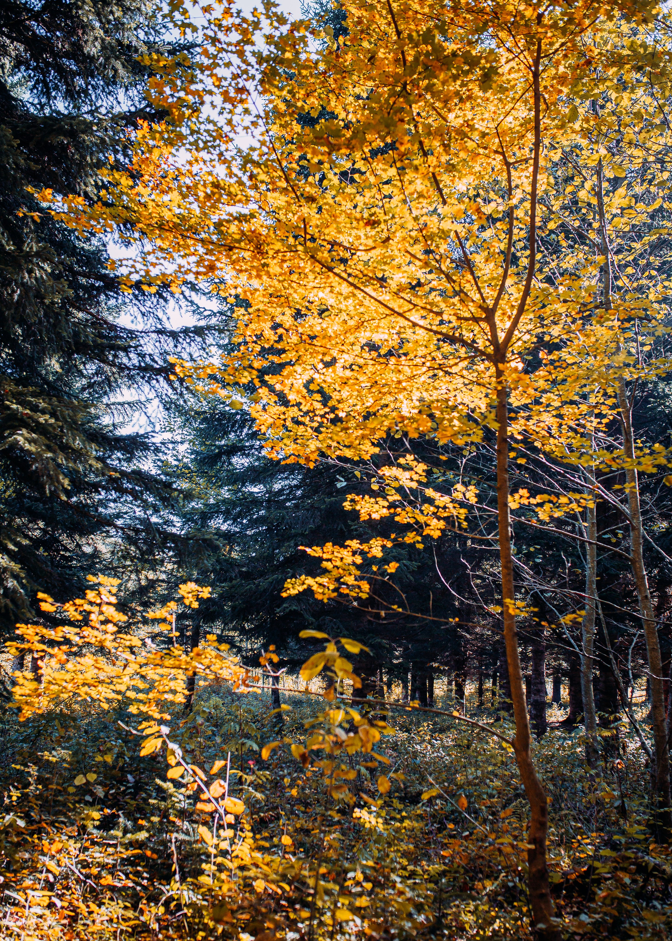 Никита и Оля. Фотограф в Приморско-Ахтарске Марьяна Чопко