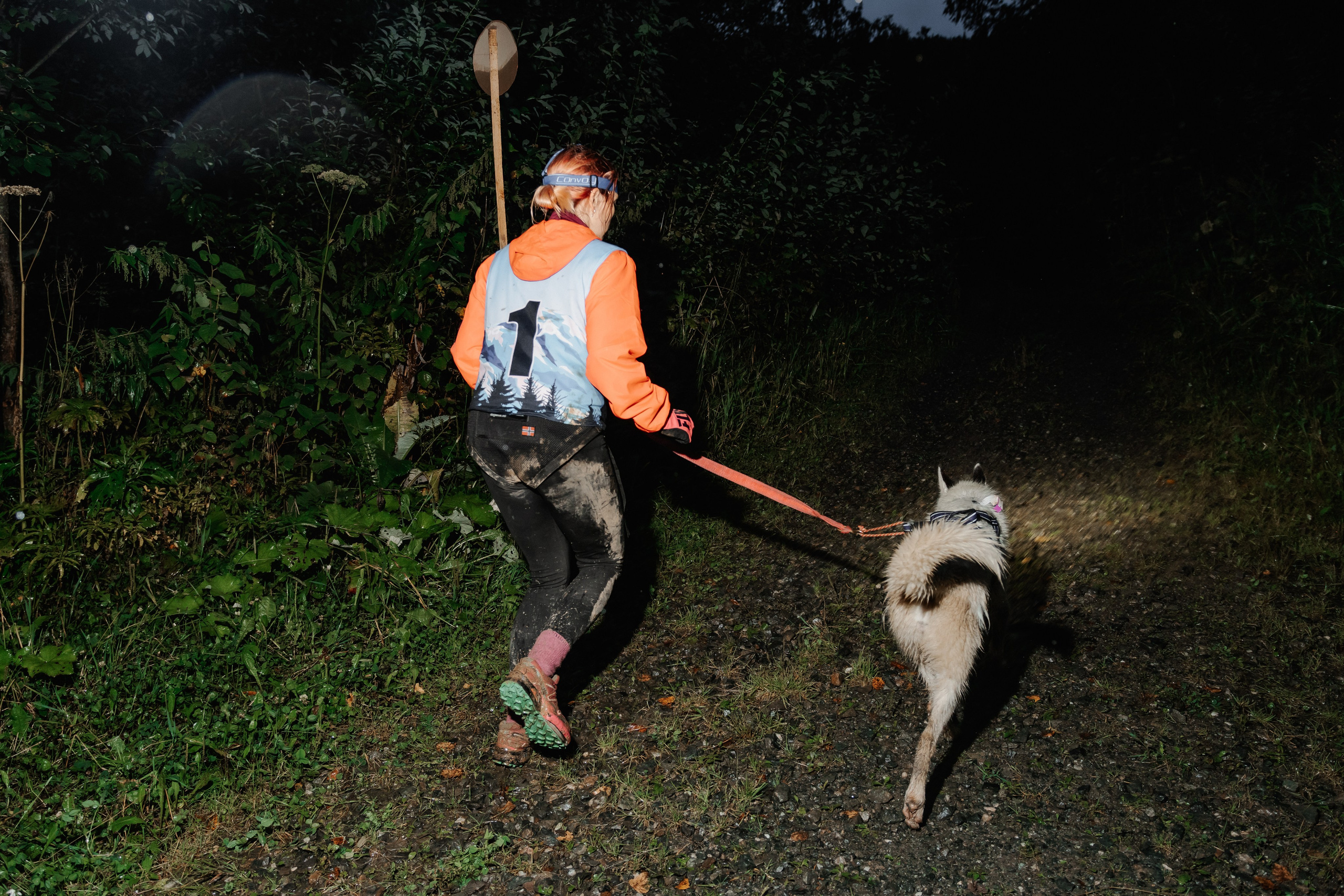 Дог-треккинг