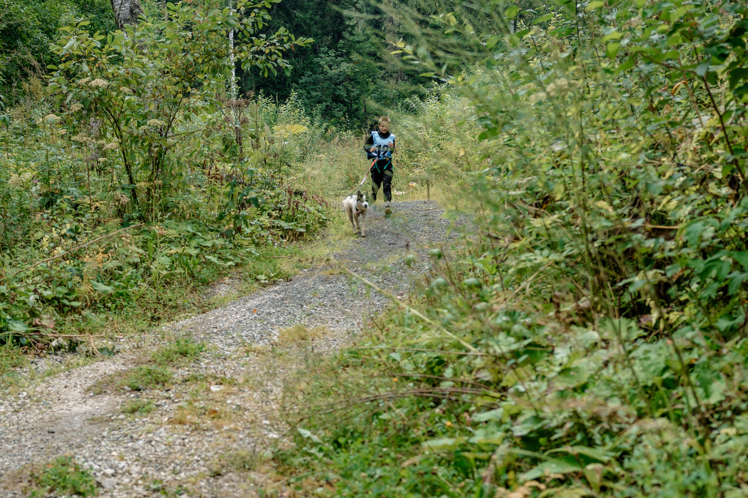 Дог-треккинг