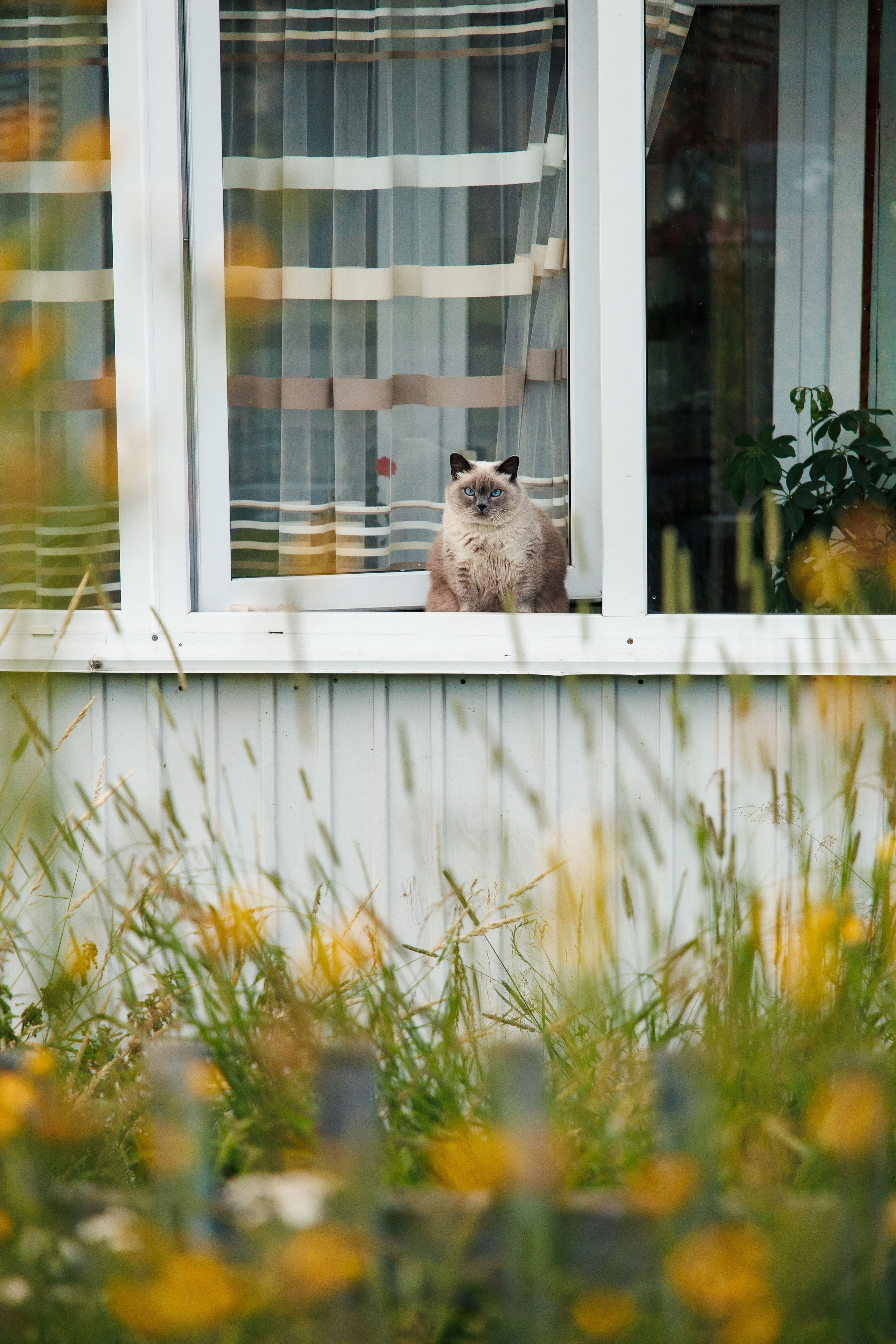 Летний Байкал