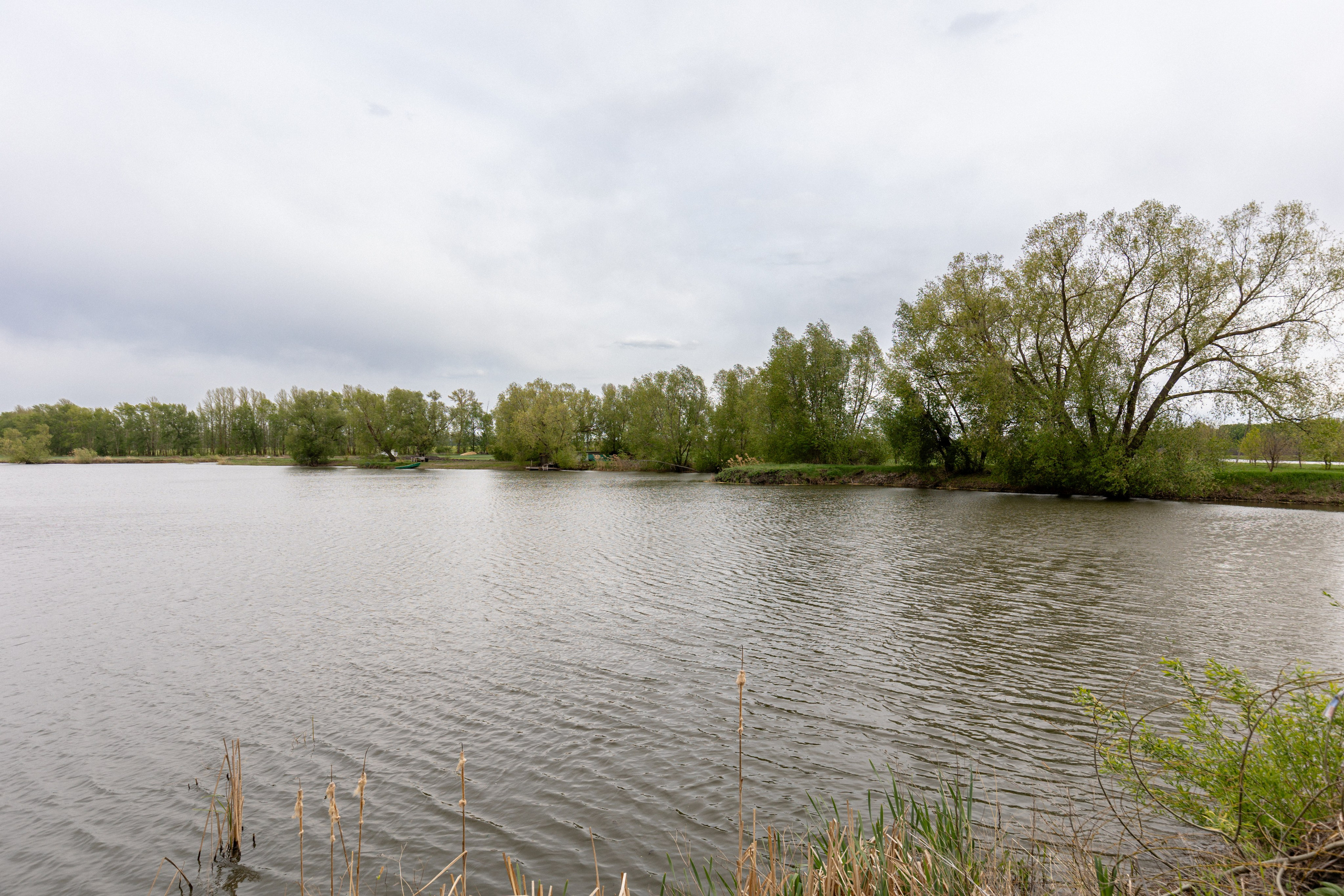 Приусадебный участок. Владислав Волков | Фотография и видеосъемка в Воронеже