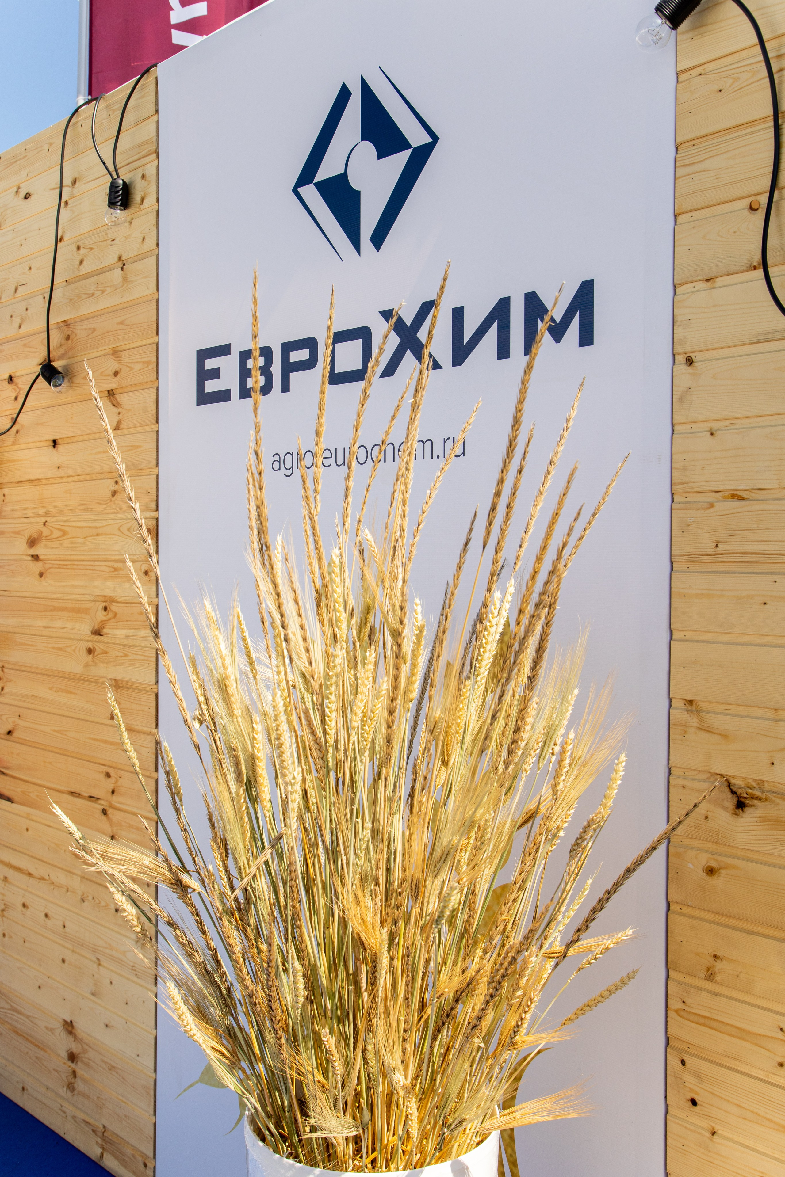 День Поля 2022. Владислав Волков | Фотография и видеосъемка в Воронеже