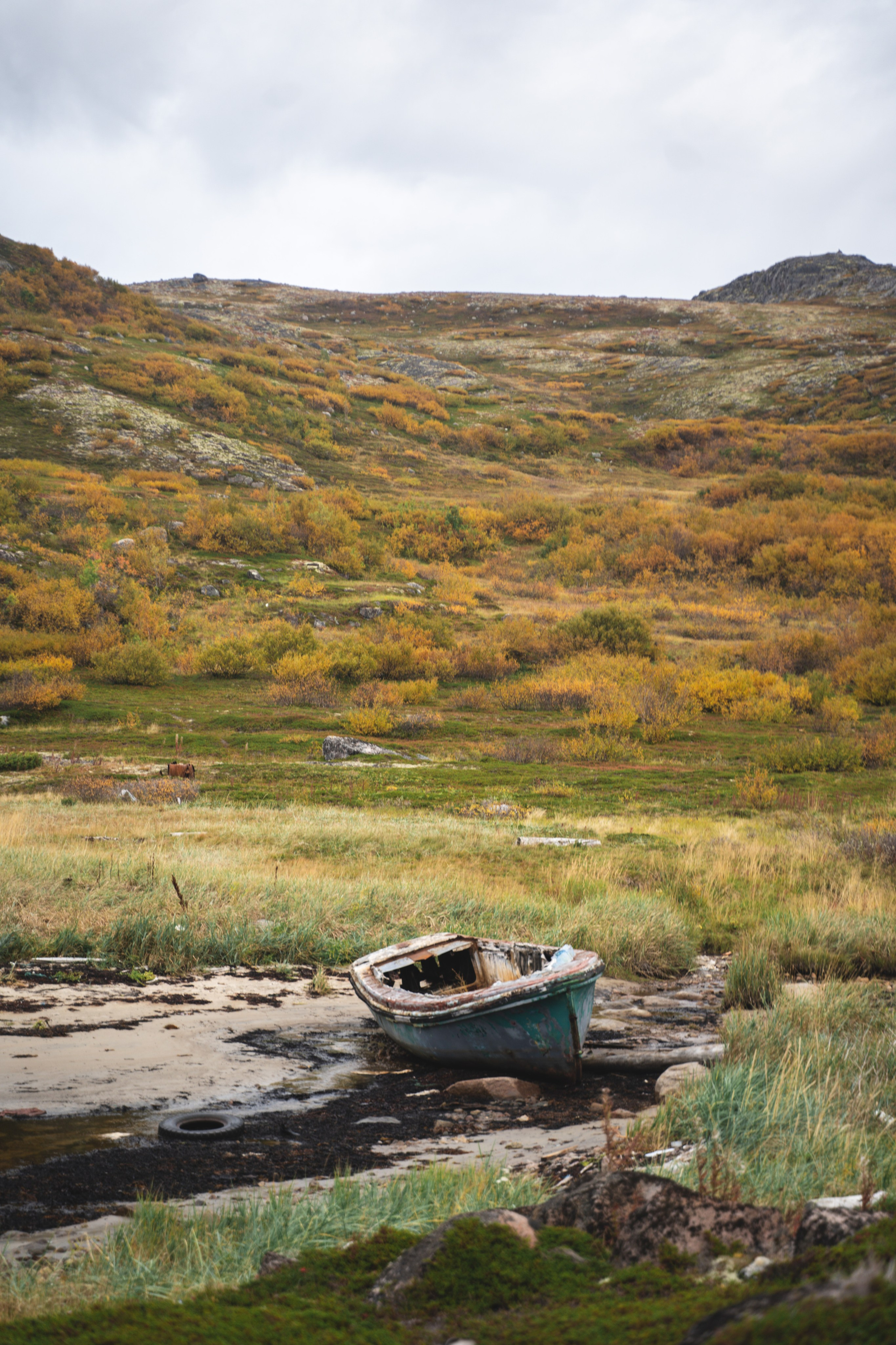 Териберка 2023. Фотограф Ольга Пучкова
