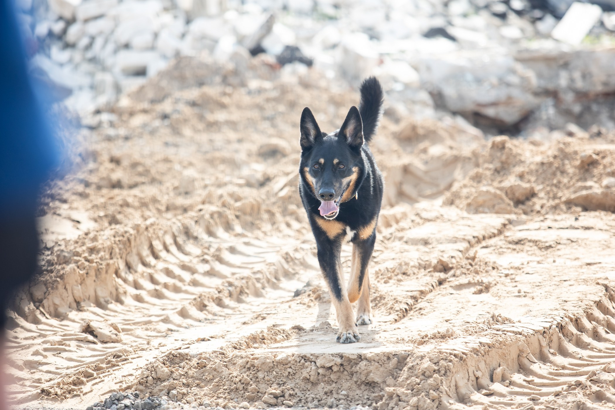 ПСС Соревнования в Нижегородской области г. Чкаловск 2023-04-28. Фотограф Ирина Астор