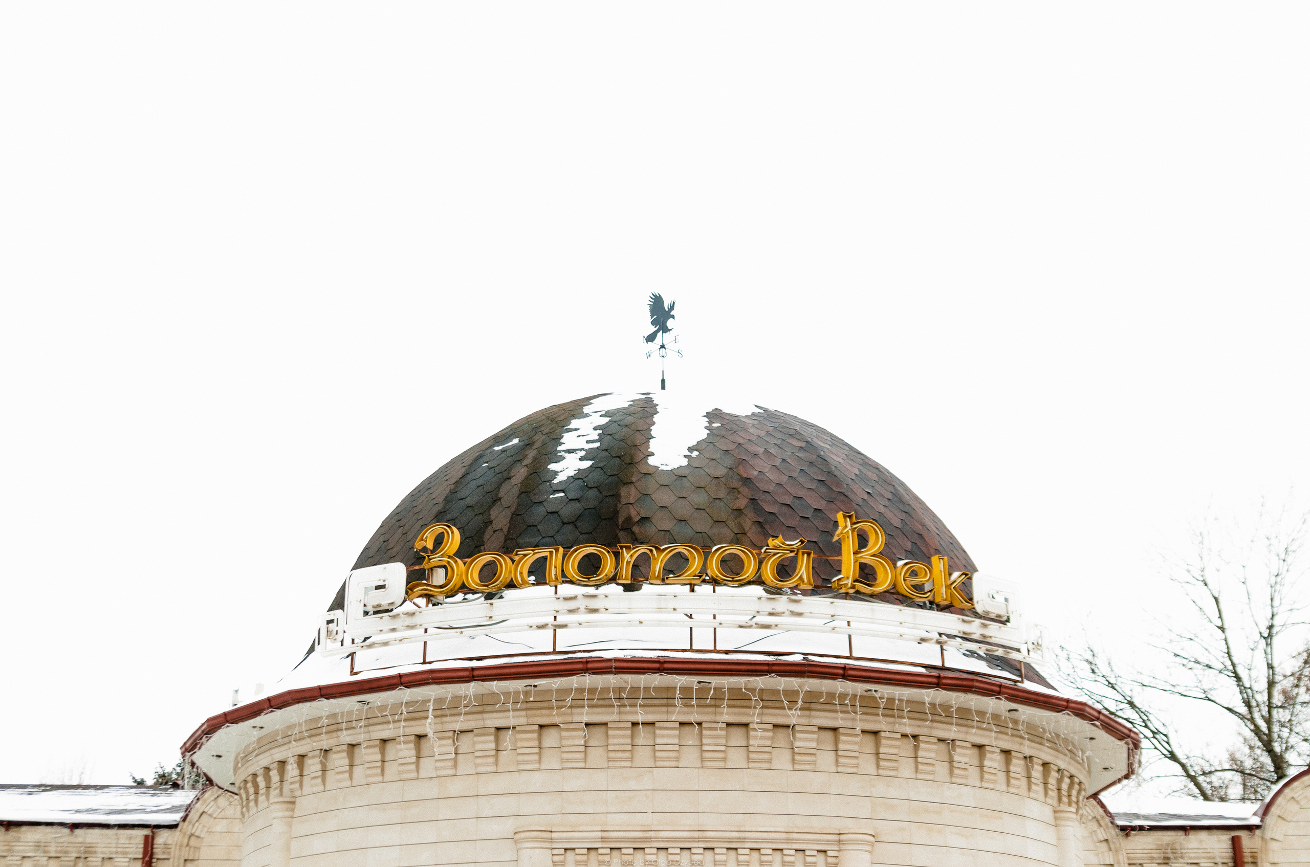 Репортаж корпоратива, репортаж, фотограф КМВ, фоторепортаж. Фотограф Ольга Дзюба. Фототерапия как зеркало души. КМВ