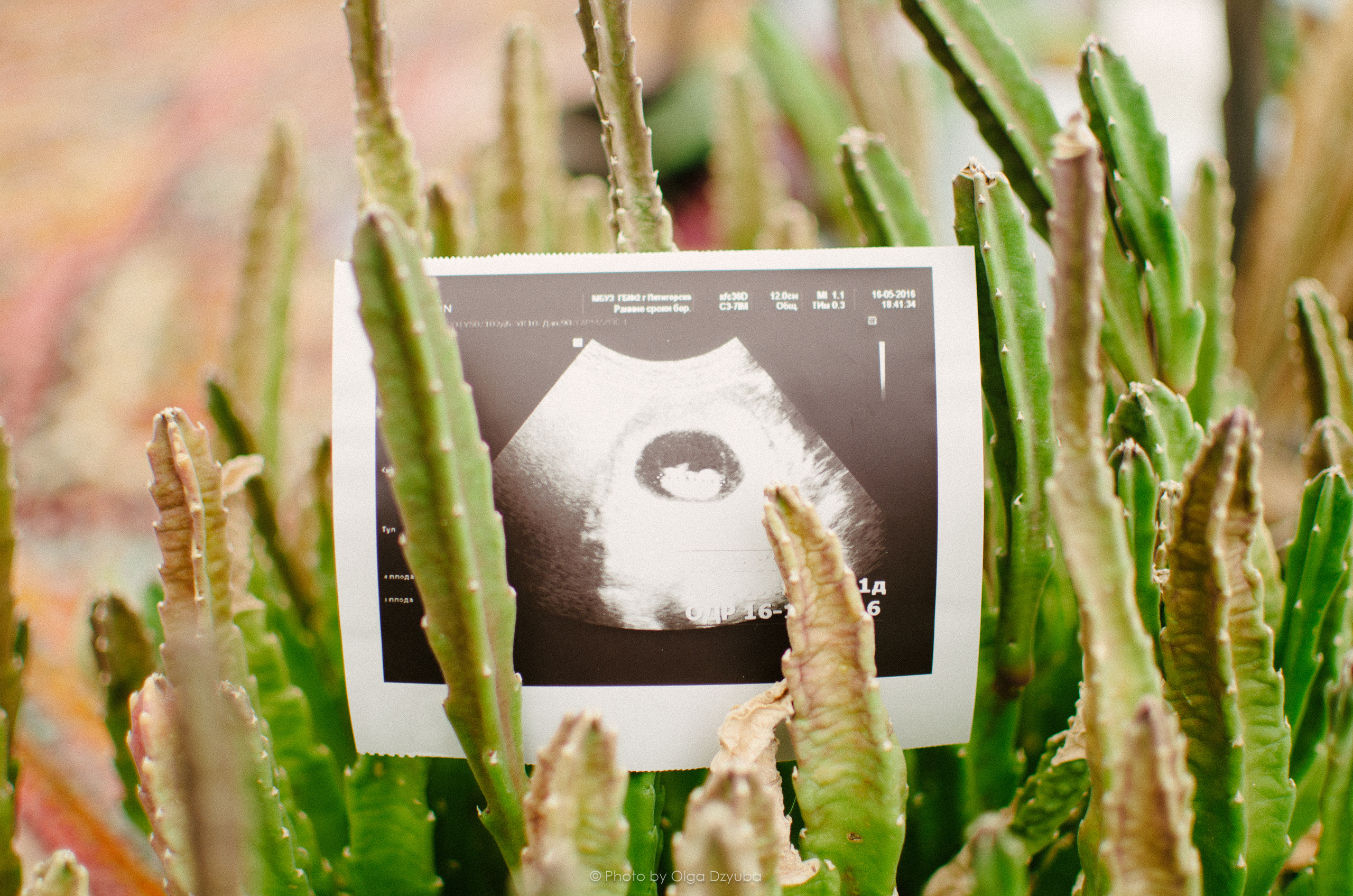 Фотосессия беременности, в ожидании чуда Пятигорск, КМВ. Фотограф Ольга Дзюба. Фототерапия как зеркало души. КМВ