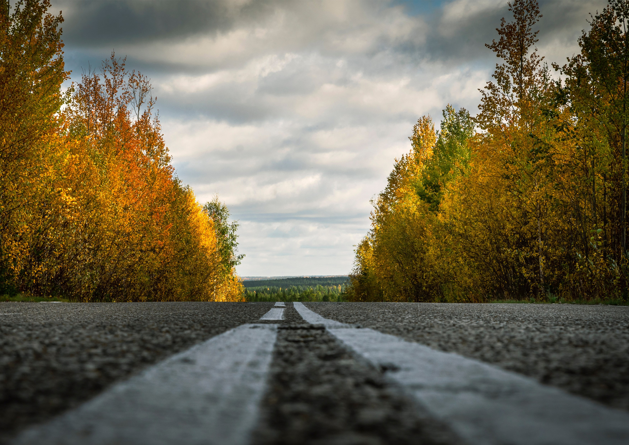 Осень. Фотограф в с. Ижма Республика Коми Терентьев Сергей