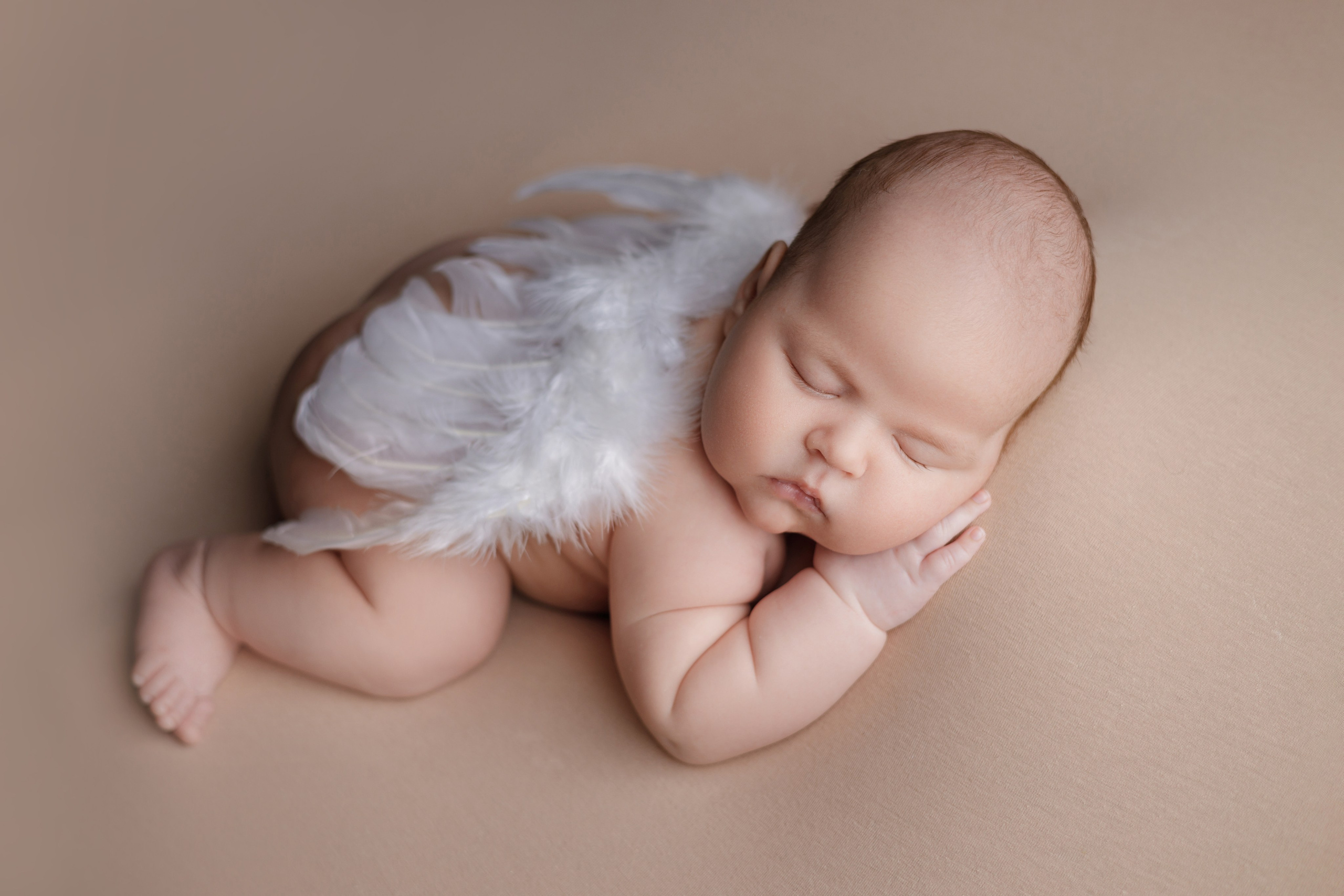 Арсений. Евгения Горбунова фотограф новорожденных в Новом Уренгое