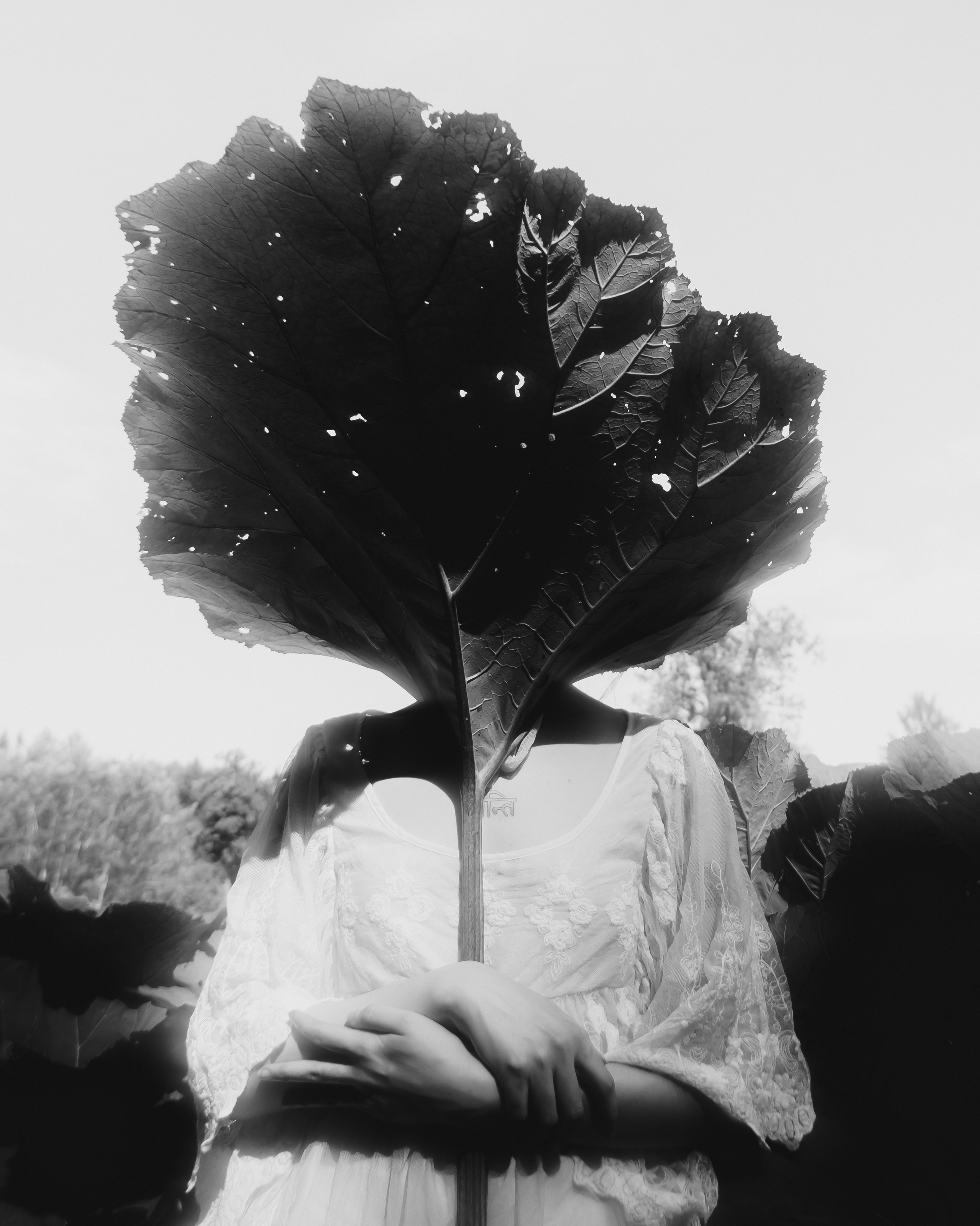 Ostryakov Daniil Photographer