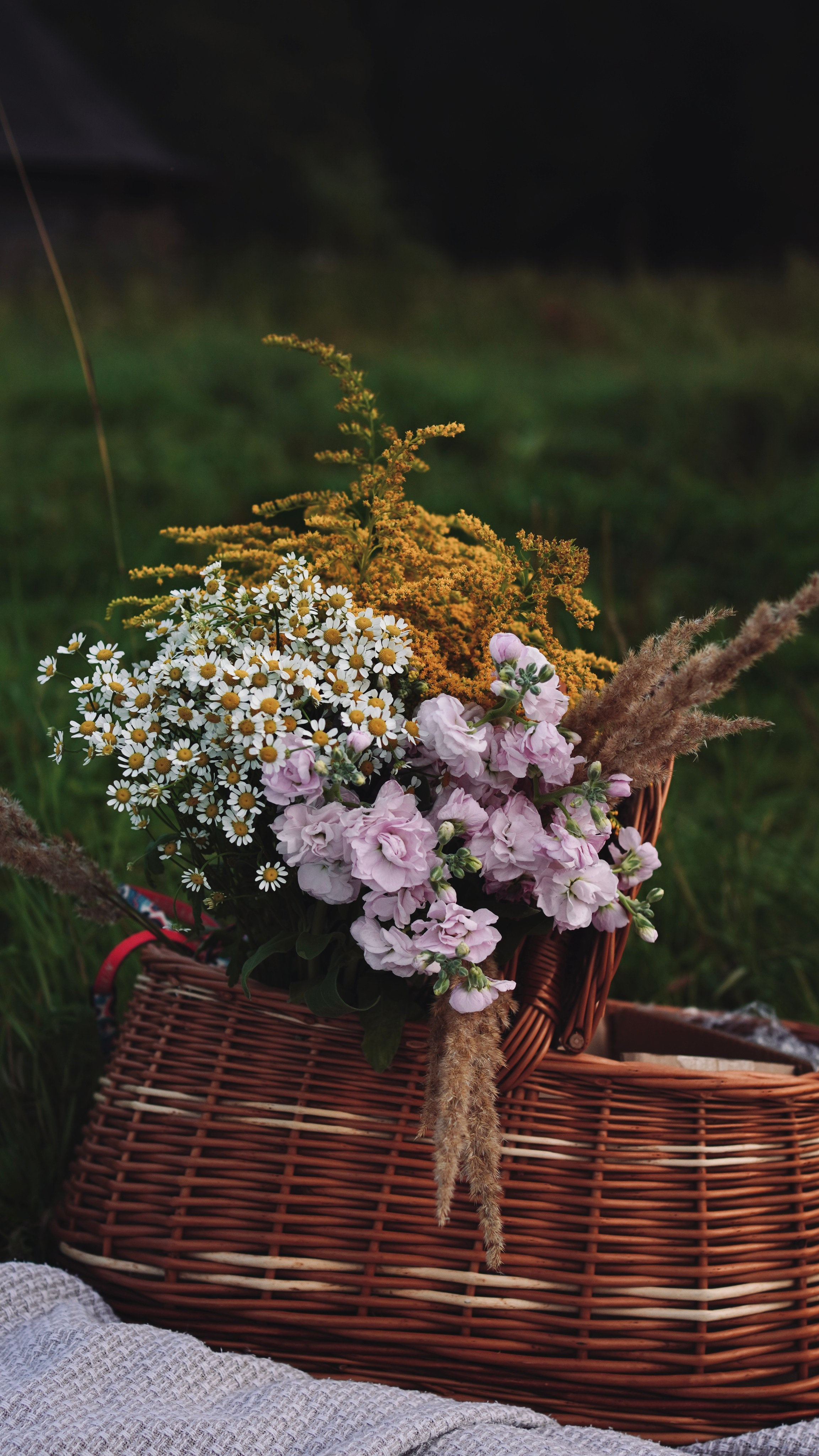 Прогулка в августе. Семейный и детский фотограф в Зеленограде Коваленко Дарья. Съемка праздников и выпускных, дней рождений