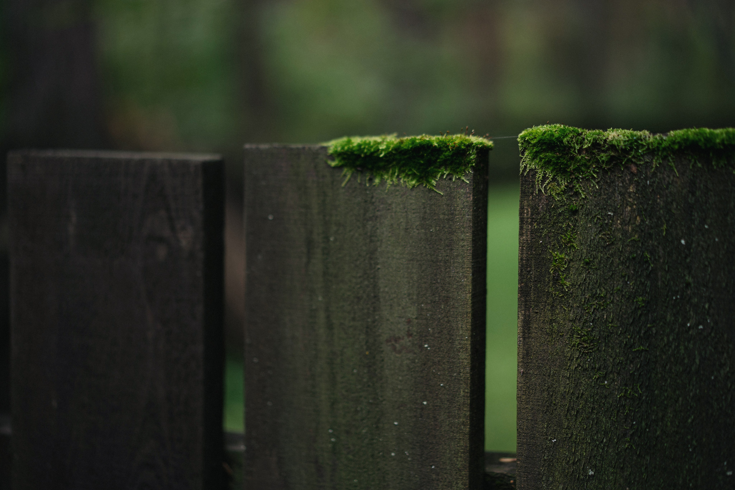 07 сентября 2024. Фотограф Томск, Новосибирск Влад Свириденко