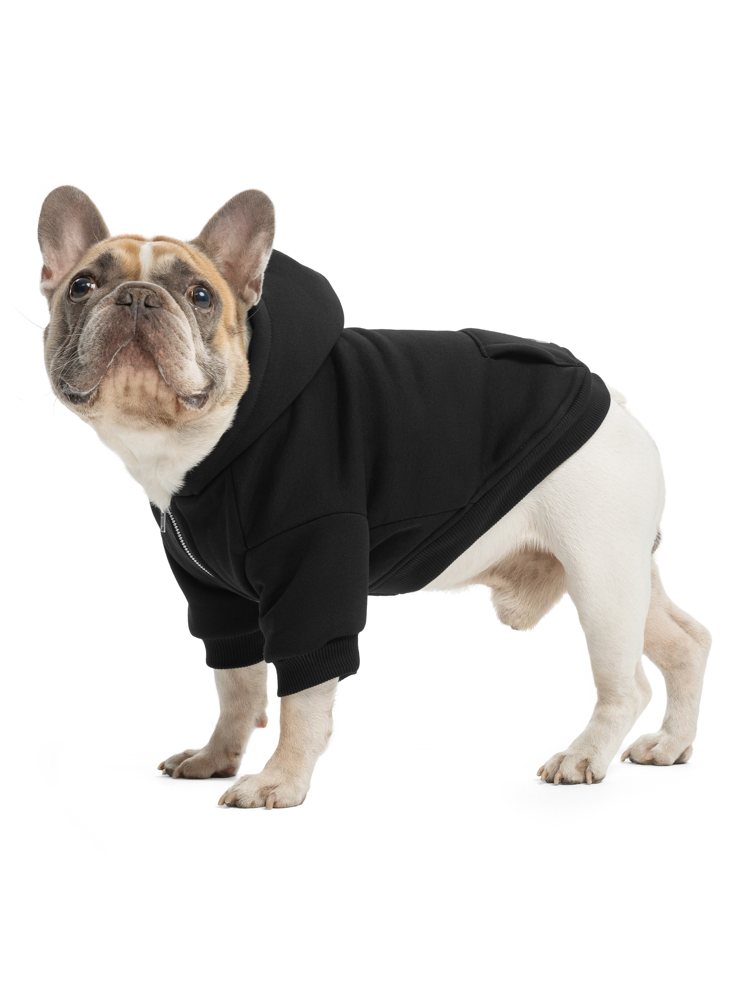 Одежда для собак Pet Subject. Олег Дмитриев