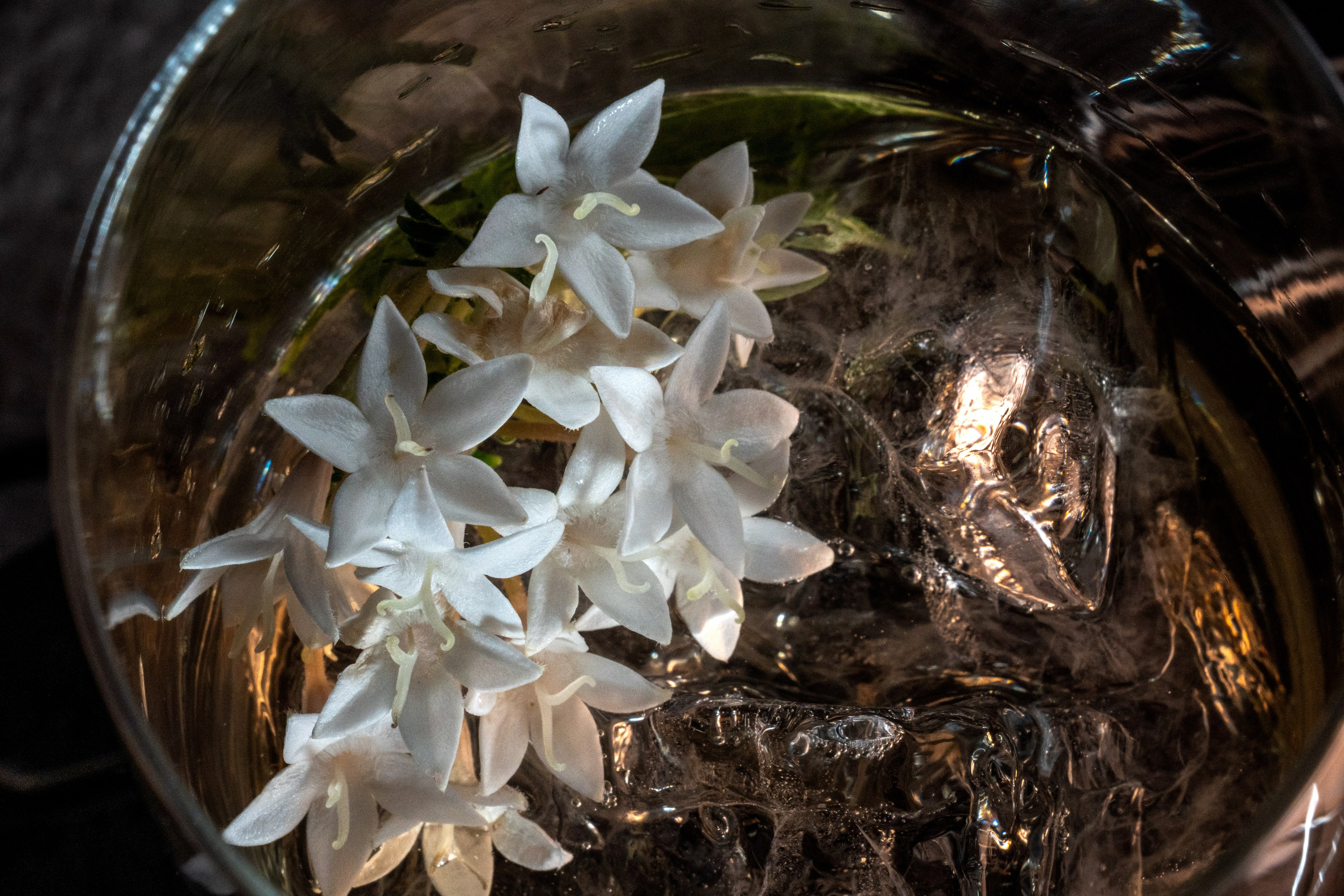 Bar agency «PROJECT». Фотограф Дмитрий Жилин