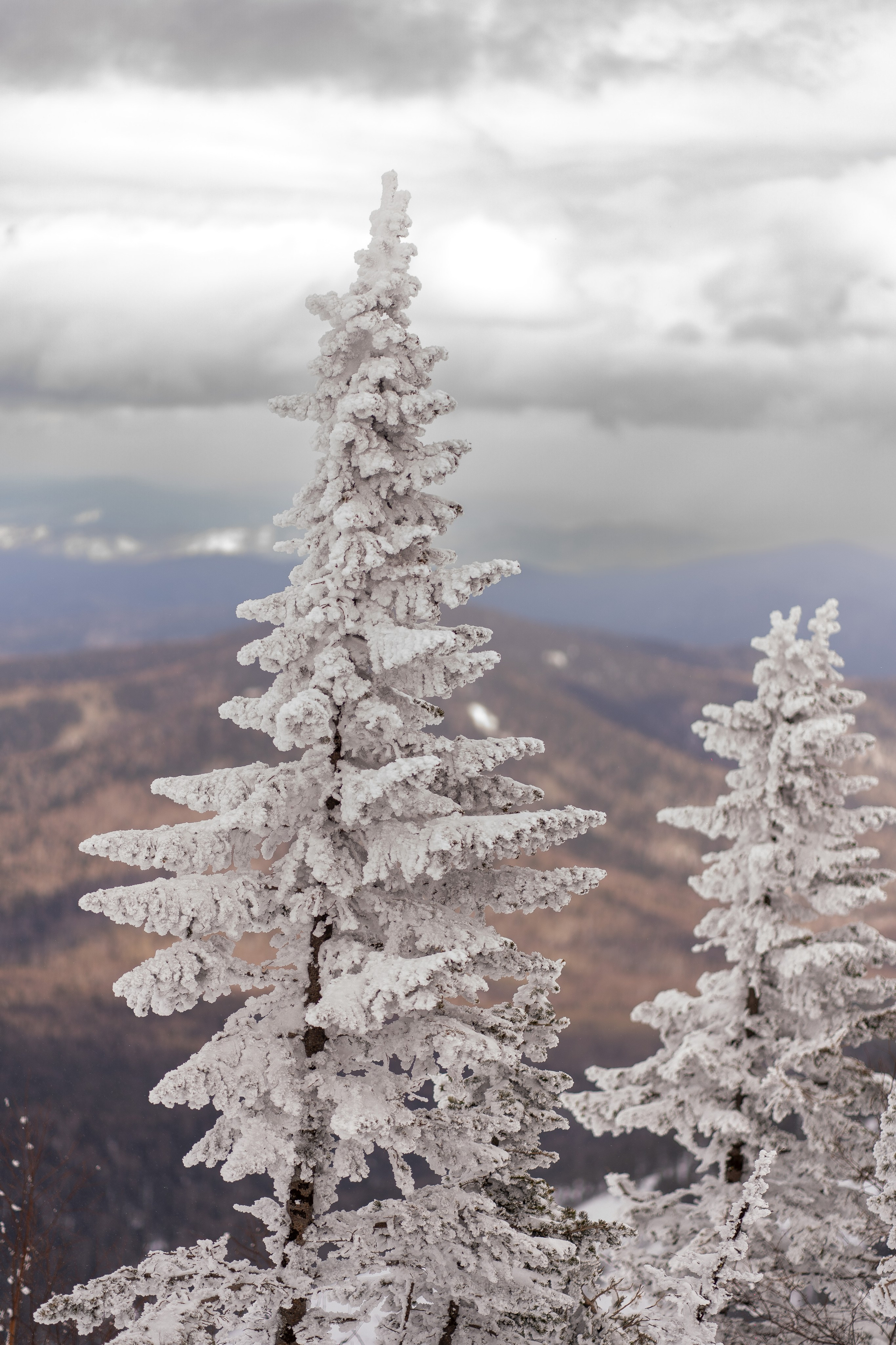 Фрирайд. Анастасия Паршукова — фотограф Шерегеш Новосибирск