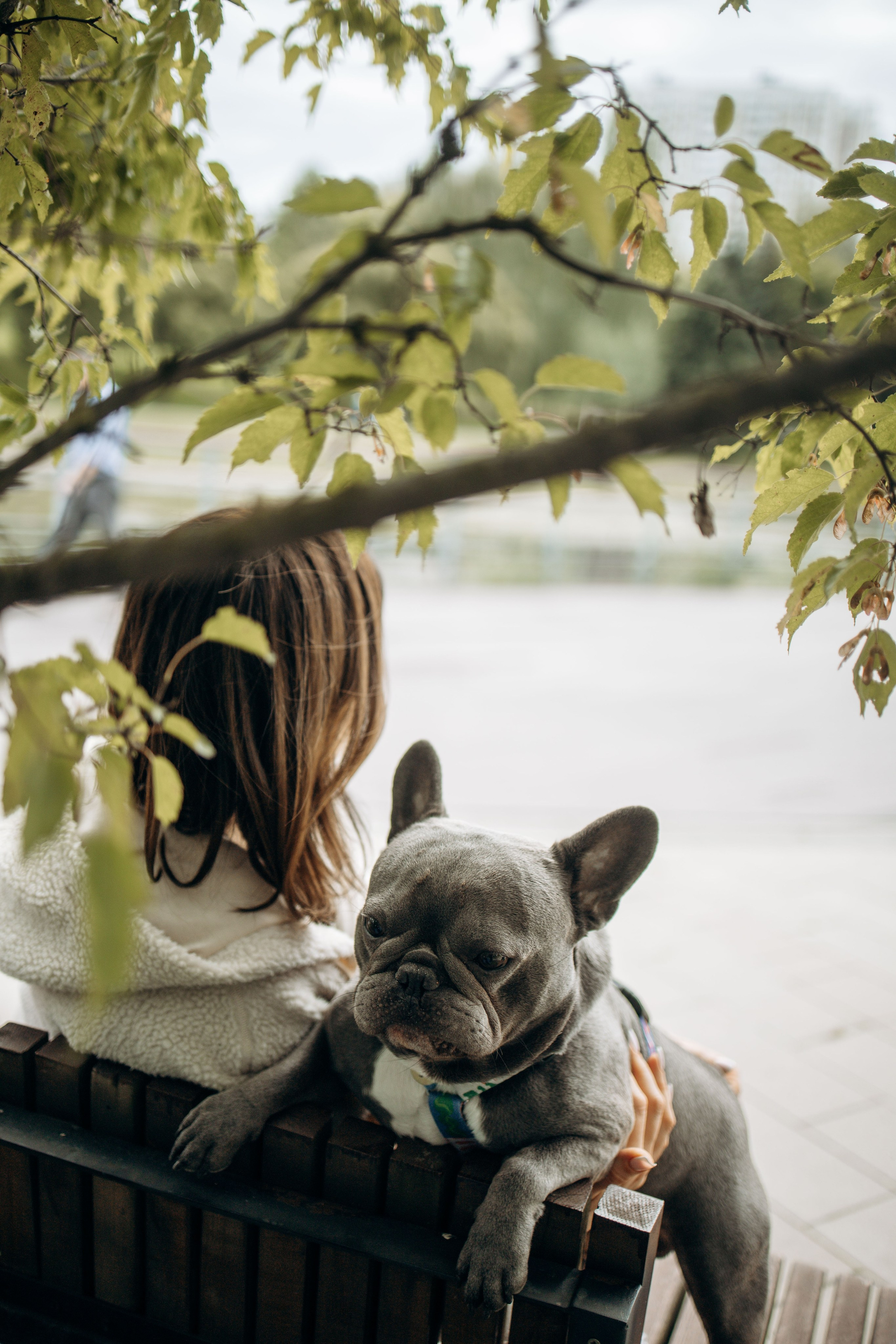 Грей и его семья