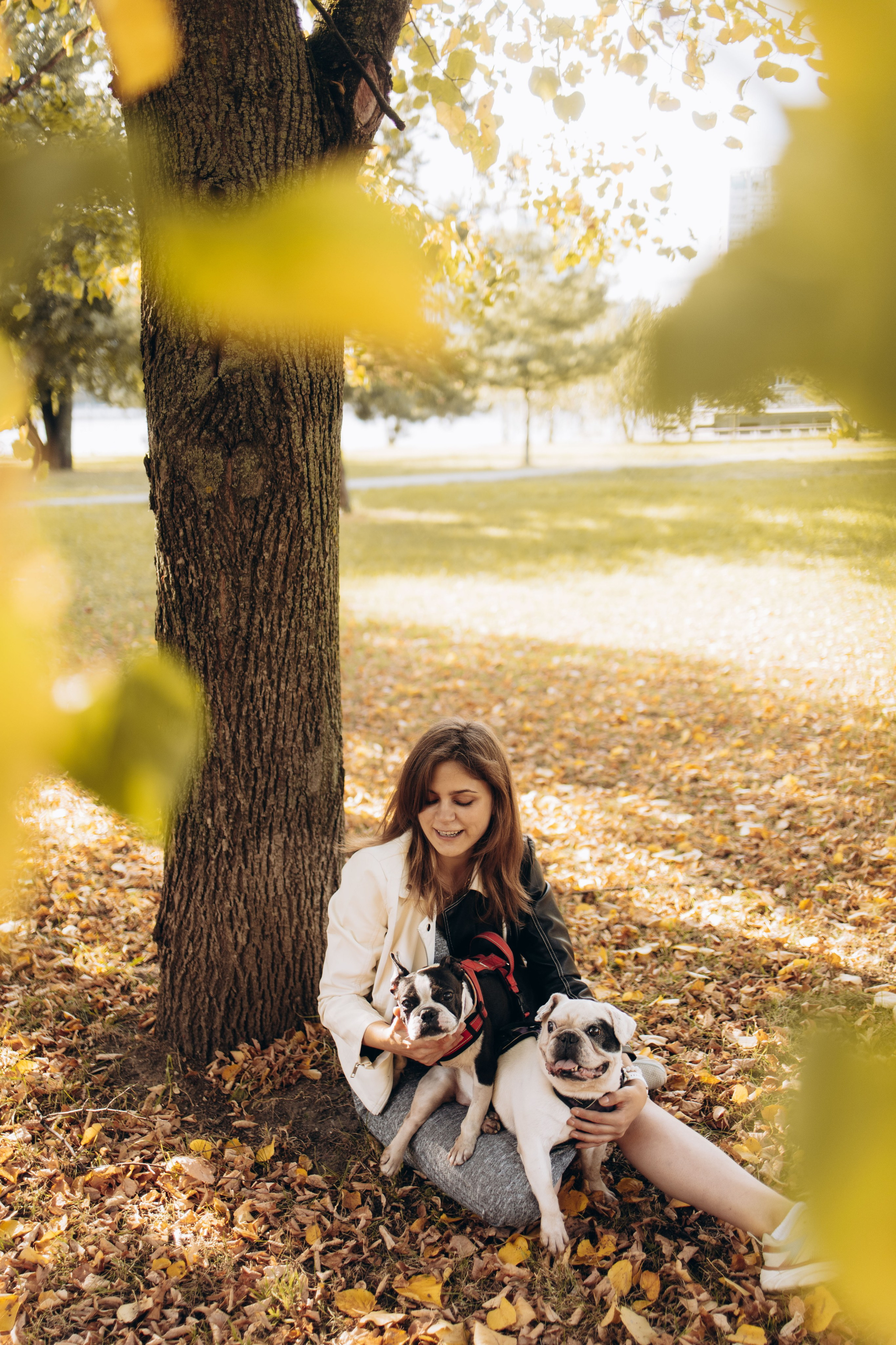 Оля и бульдоги